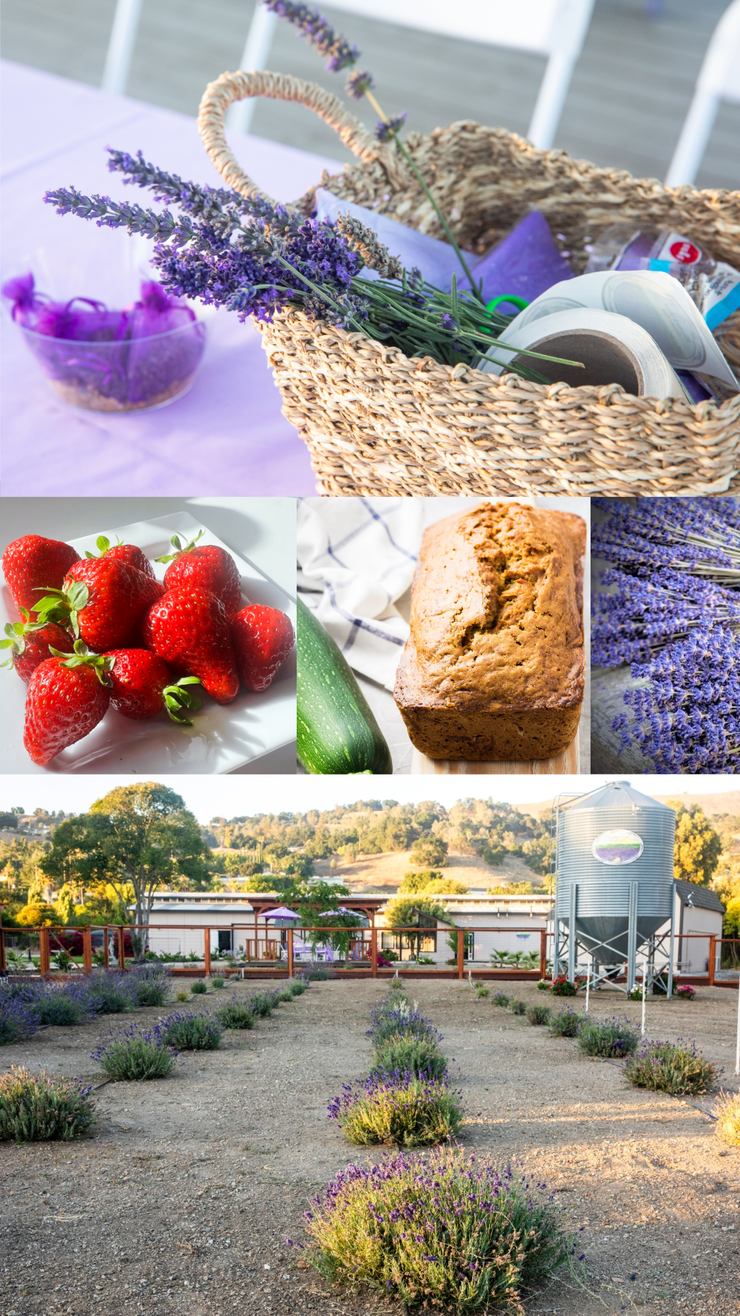 Lavender Farm Brunch/Lunch & Champagne Toast Experience