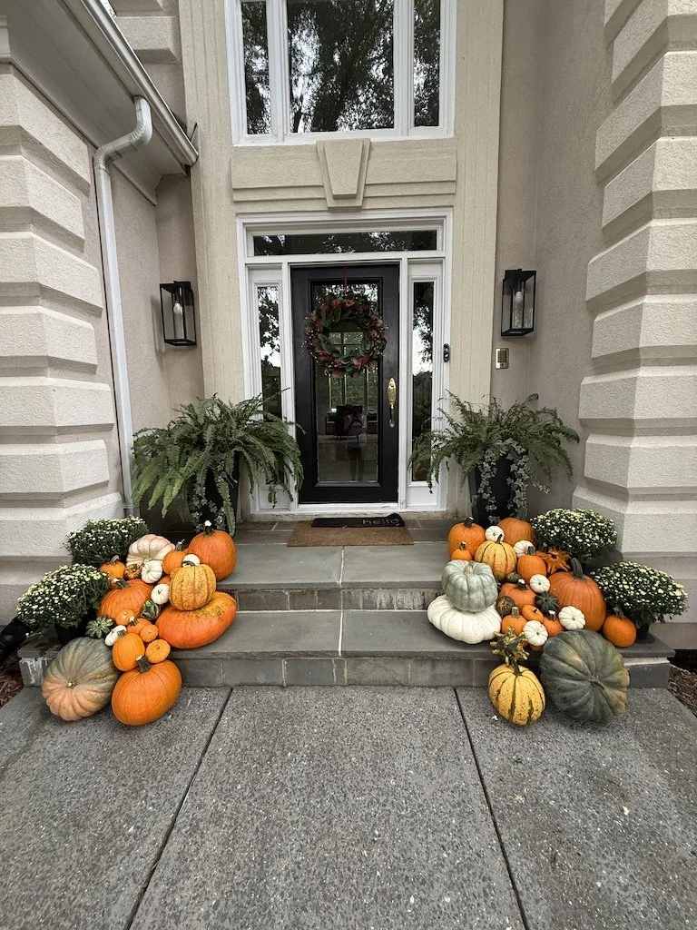 Front porch decorated with a variety of pumpkins and white flowers, flanked by potted ferns, leading up to a black door with a holiday wreath, on a concrete walkway on steps.