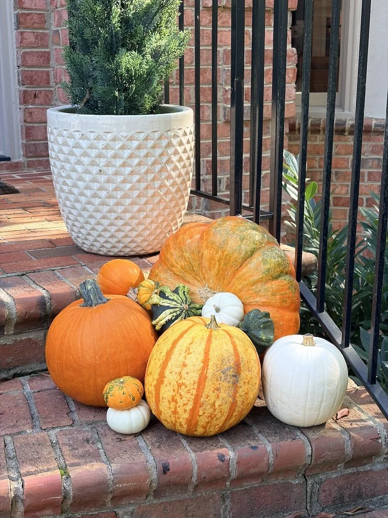 A collection of pumpkins and gourds in various sizes and colors, placed on brick steps outside a house next to a potted plant and black metal railing.
