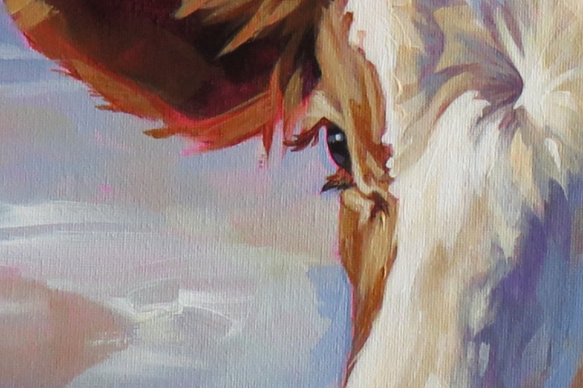 Fourteen H Zoom .png