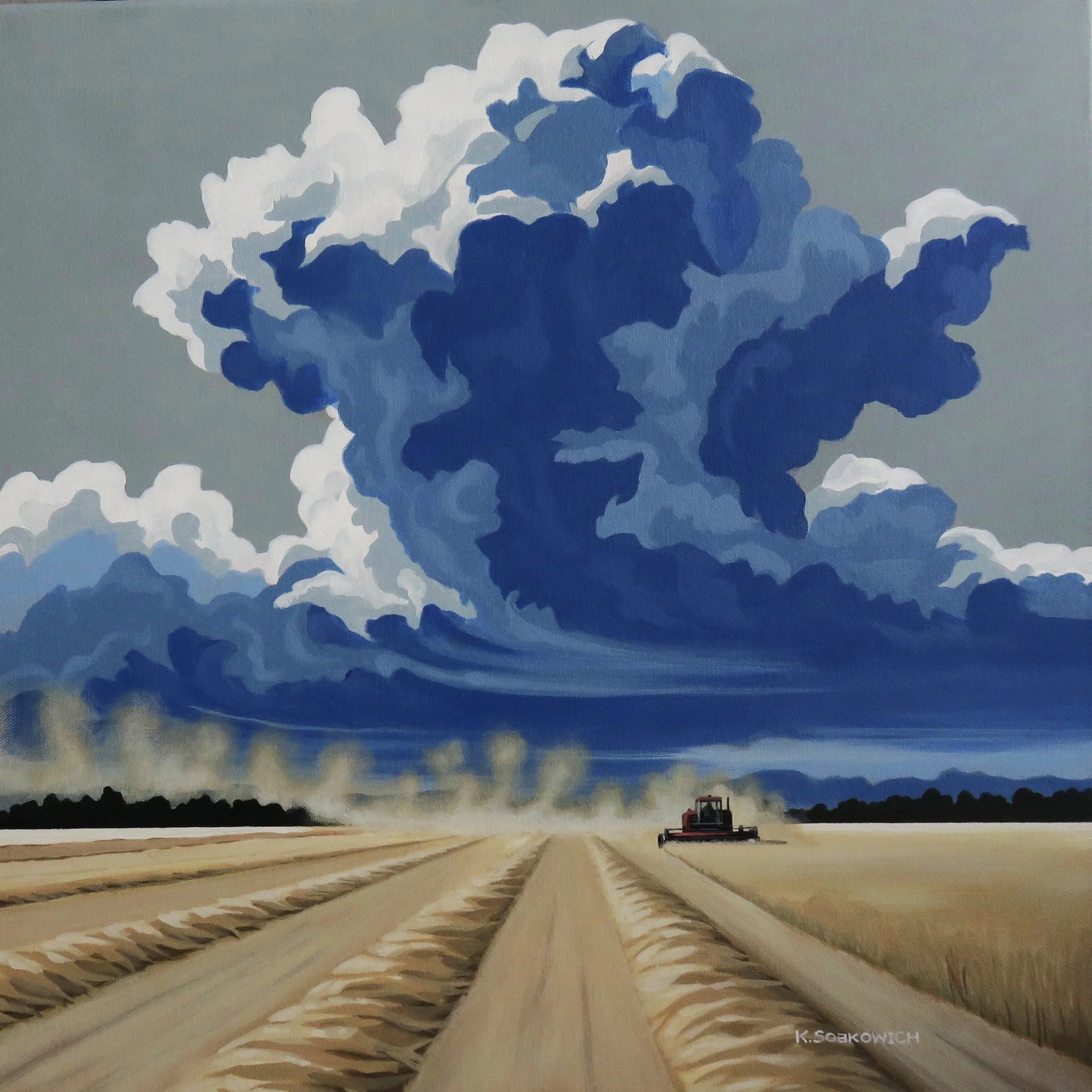 "Dust and Disturbance"