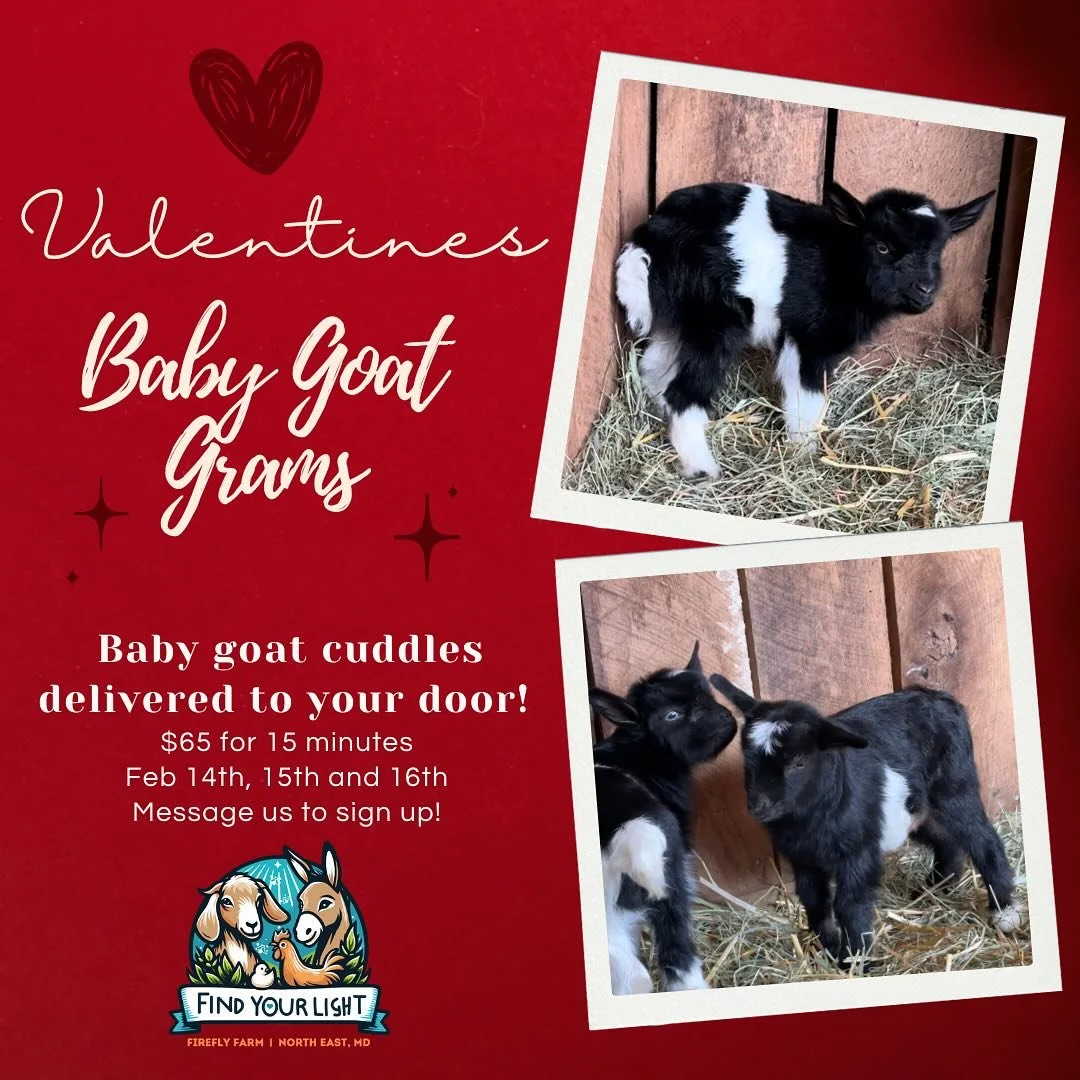 Baby Goat Grams