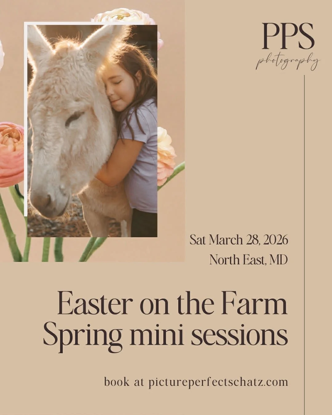 Spring mini sessions