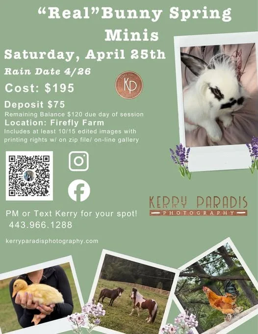 Spring Mini Photo Shoot 