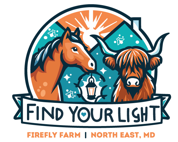 Firefly Farm, Find Your Light