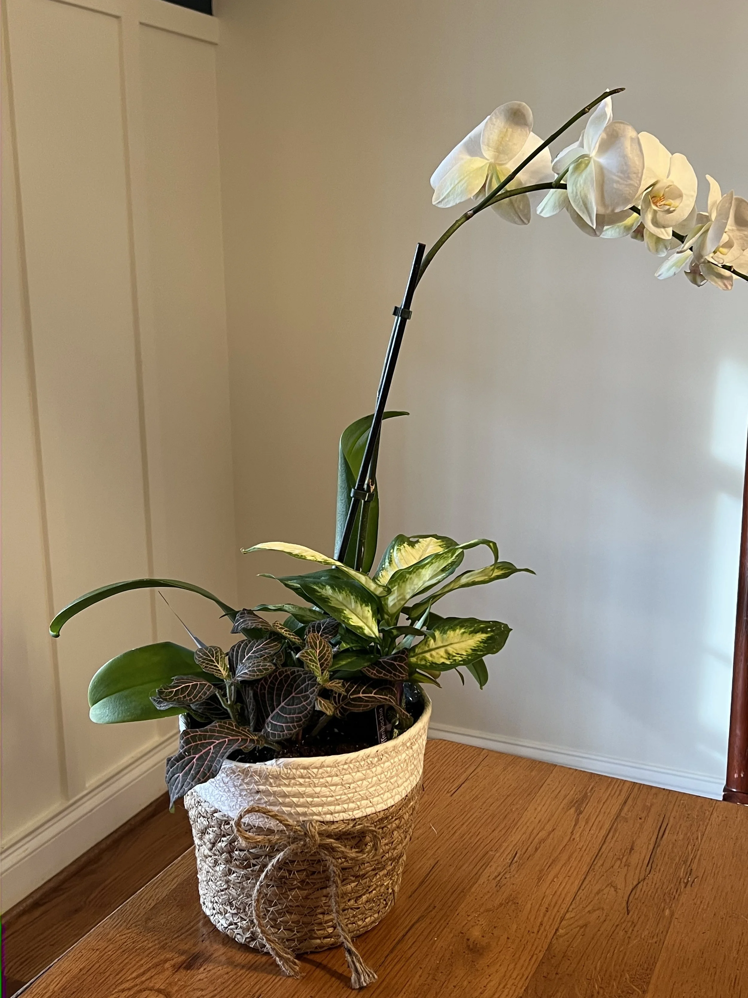 Orchid Garden Basket