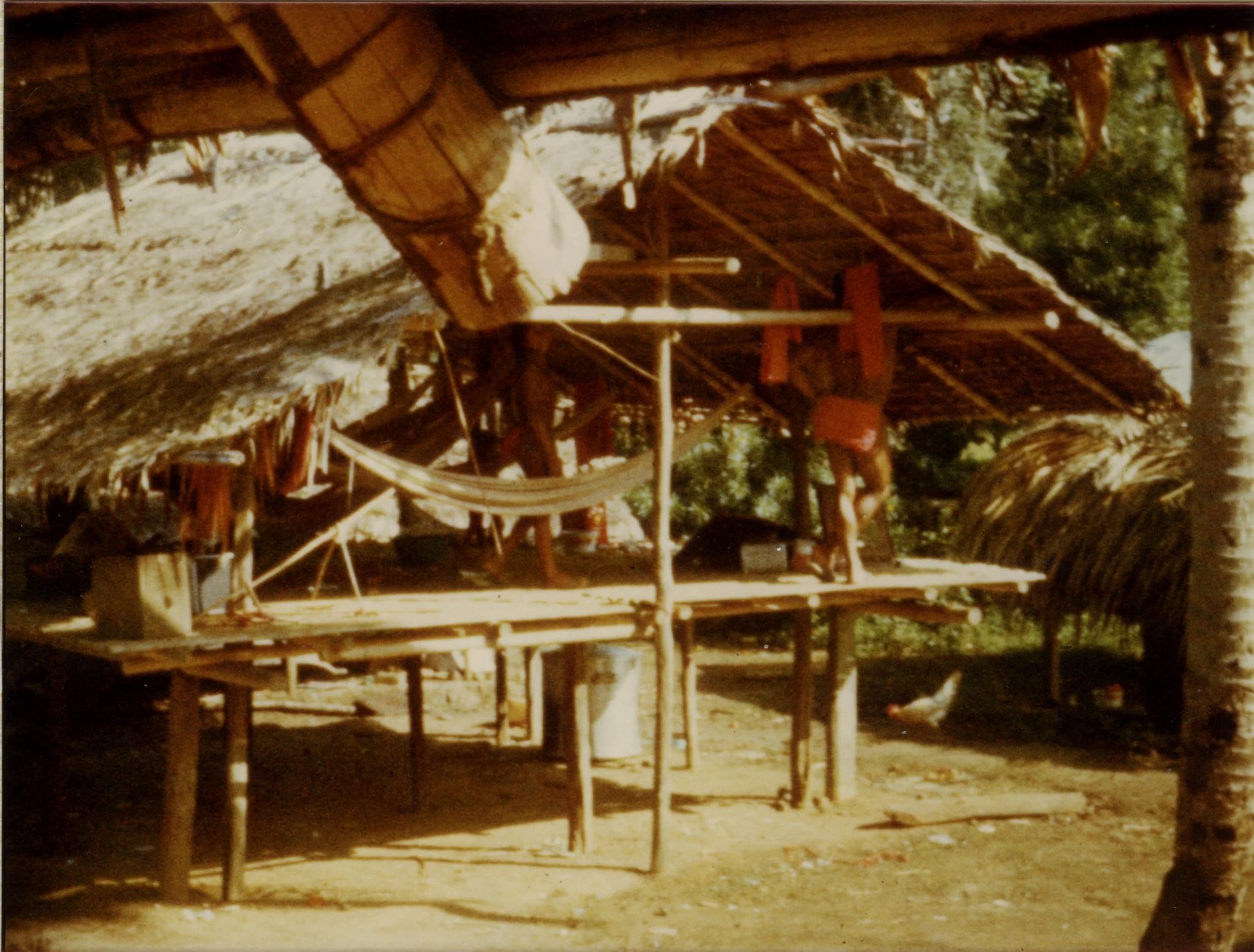 Une structure en bois avec un toboggan, ressemblant à une aire de jeux pour enfants, dans un espace extérieur entouré d'arbres.
