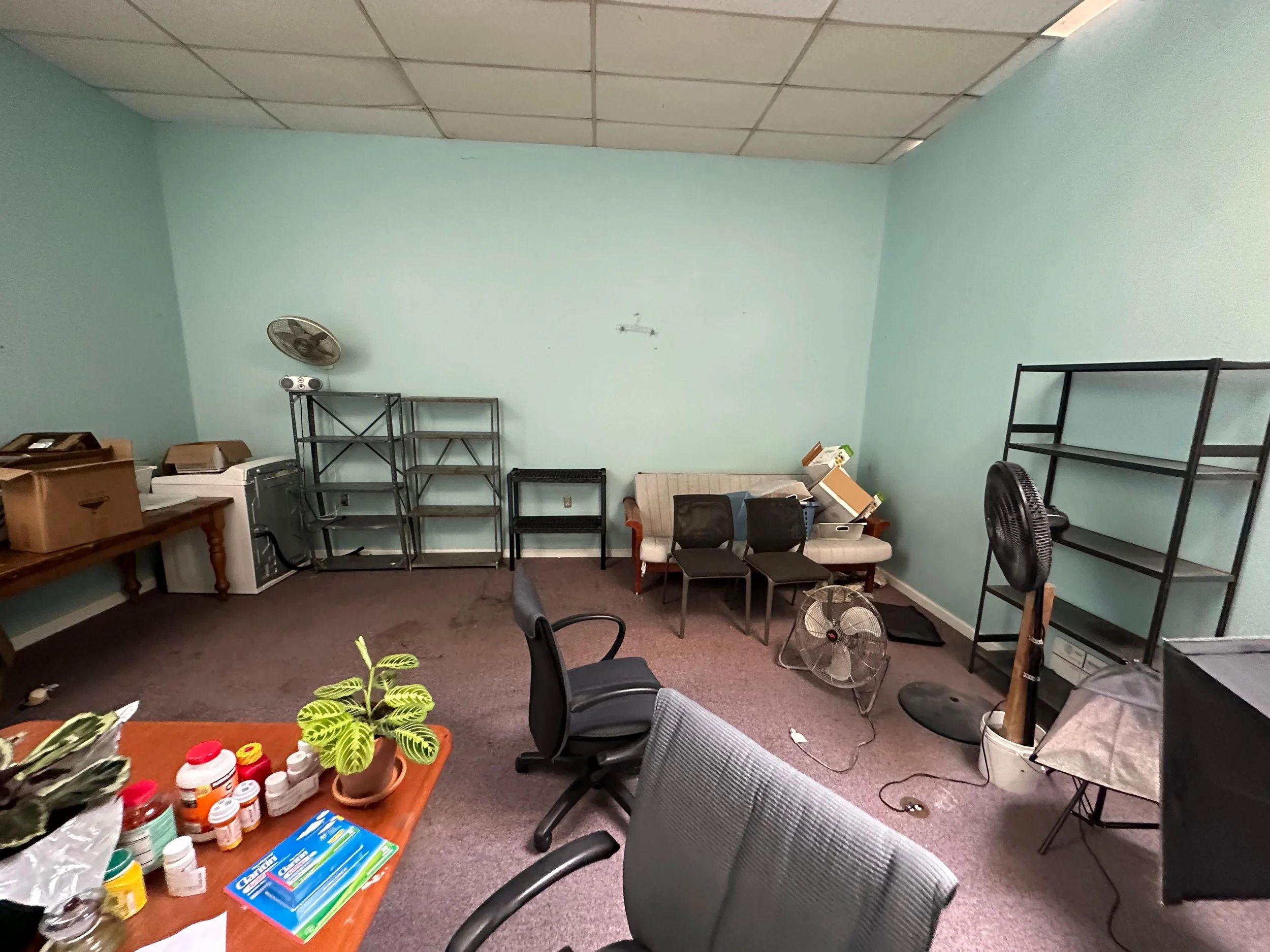 An office space with a light green wall, brown carpeted floor, and a drop ceiling. Contains a wooden table with some bottles and potted plants, several black and metal shelves, a beige sofa with some boxes and items, a black office chair, a standing fan, and other miscellaneous office items and furniture.