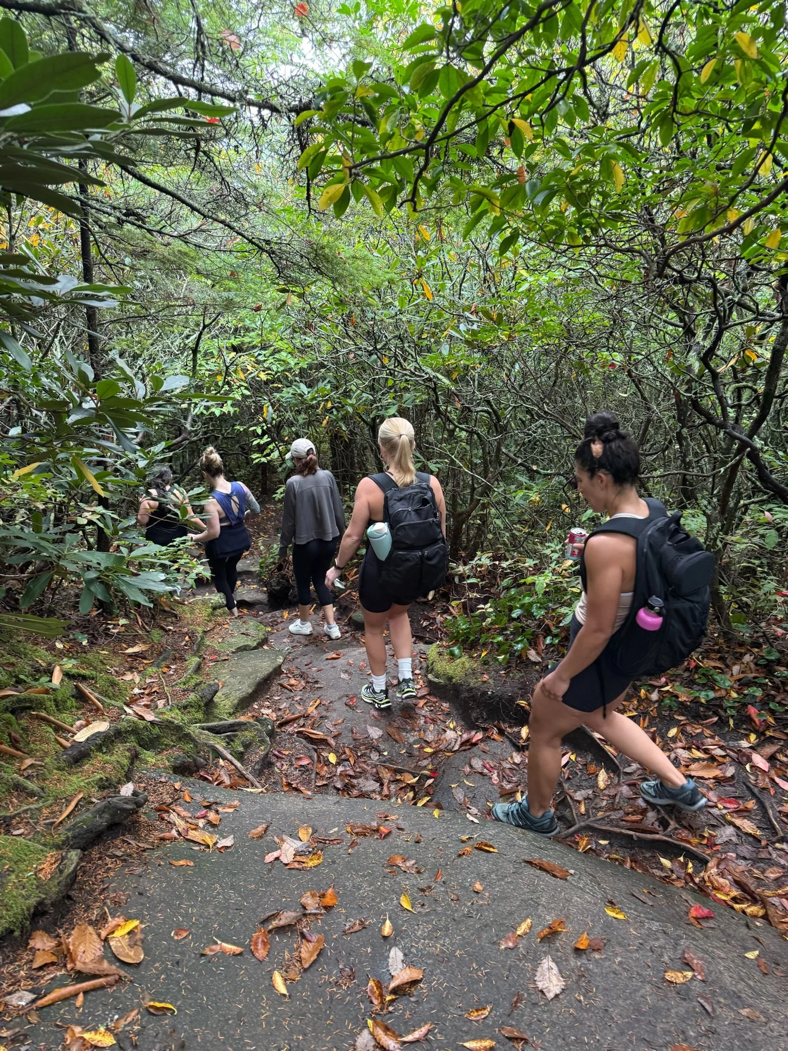 Group of women hiking down a damp forest trail surrounded by dense greenery and fallen leaves.