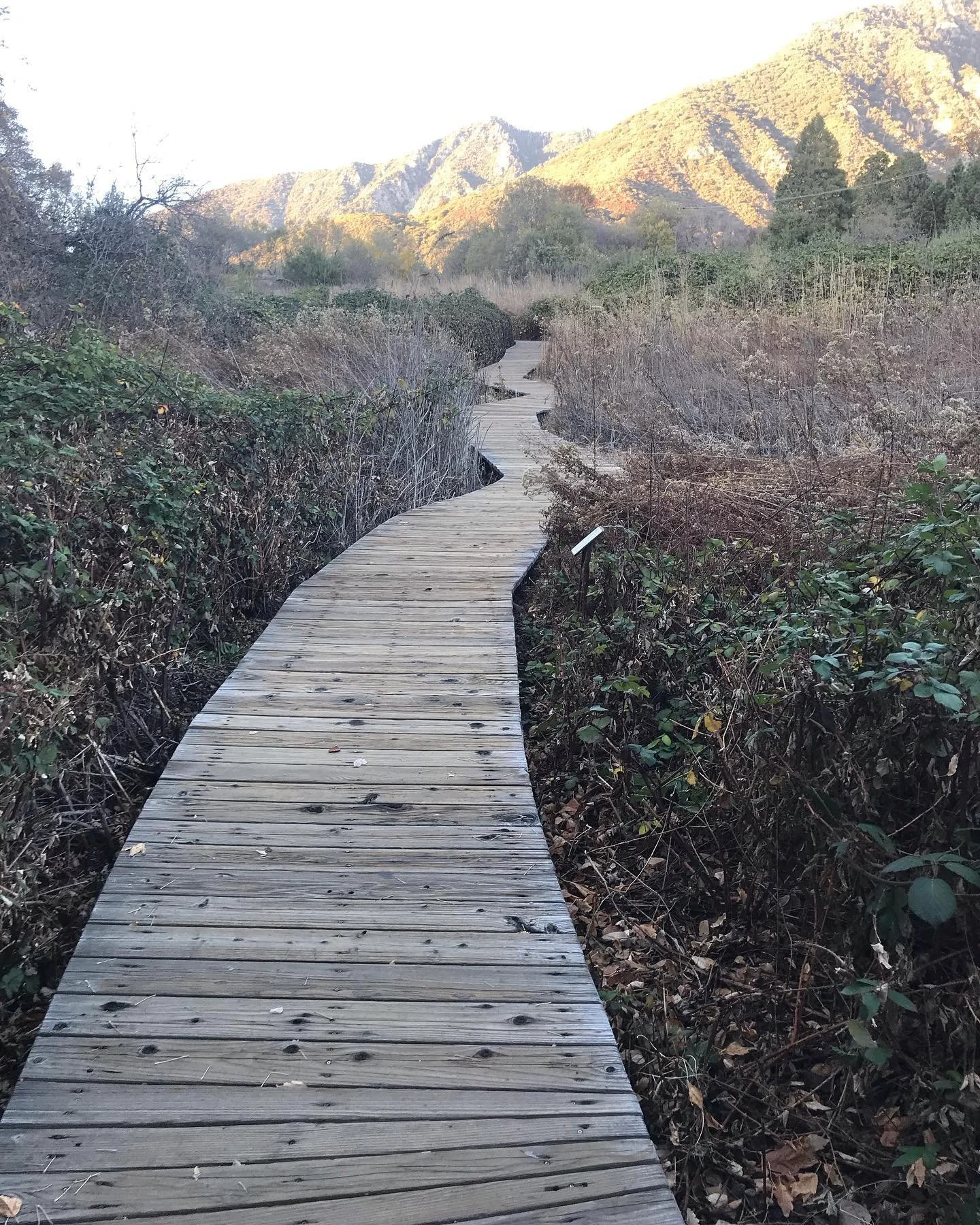 Tis the season and Tis the love for natural design, Happy Thanksgiving Week and Remember when design correctly an object will seem like its in its place, it will not stand out of feel like an obstruction