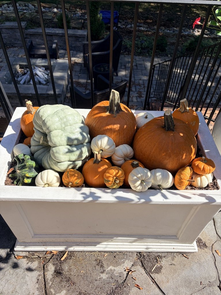 charlotte pumpkin service.JPG