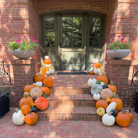 Queen City Pumpkins_cozycollection.png