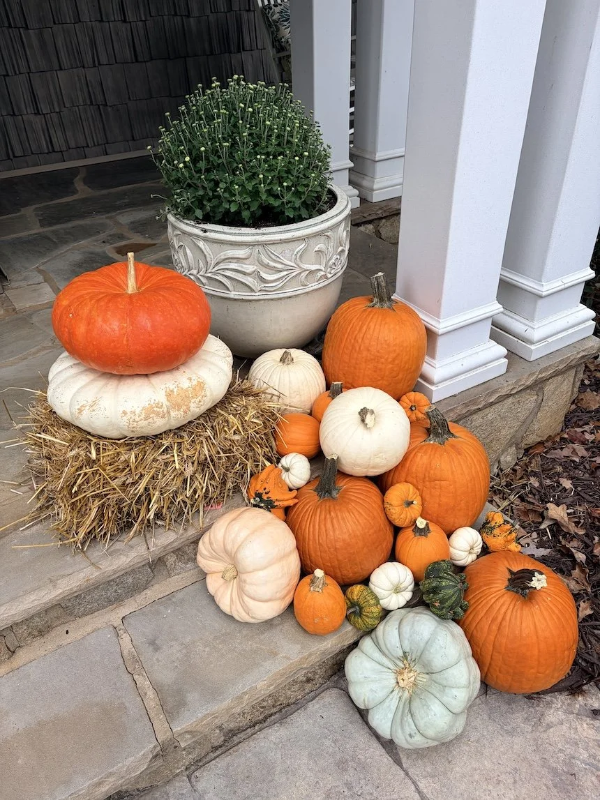 Queen City Pumpkins_lakenorman_cornelius.JPG