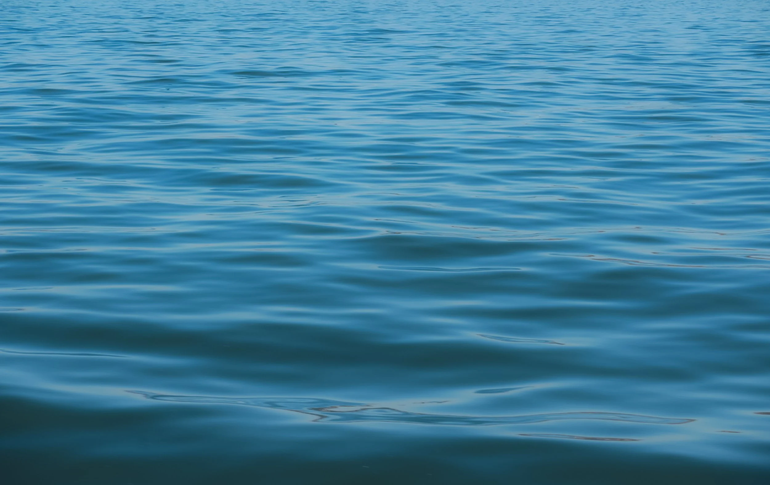 Dialogue with the Unseen Guides