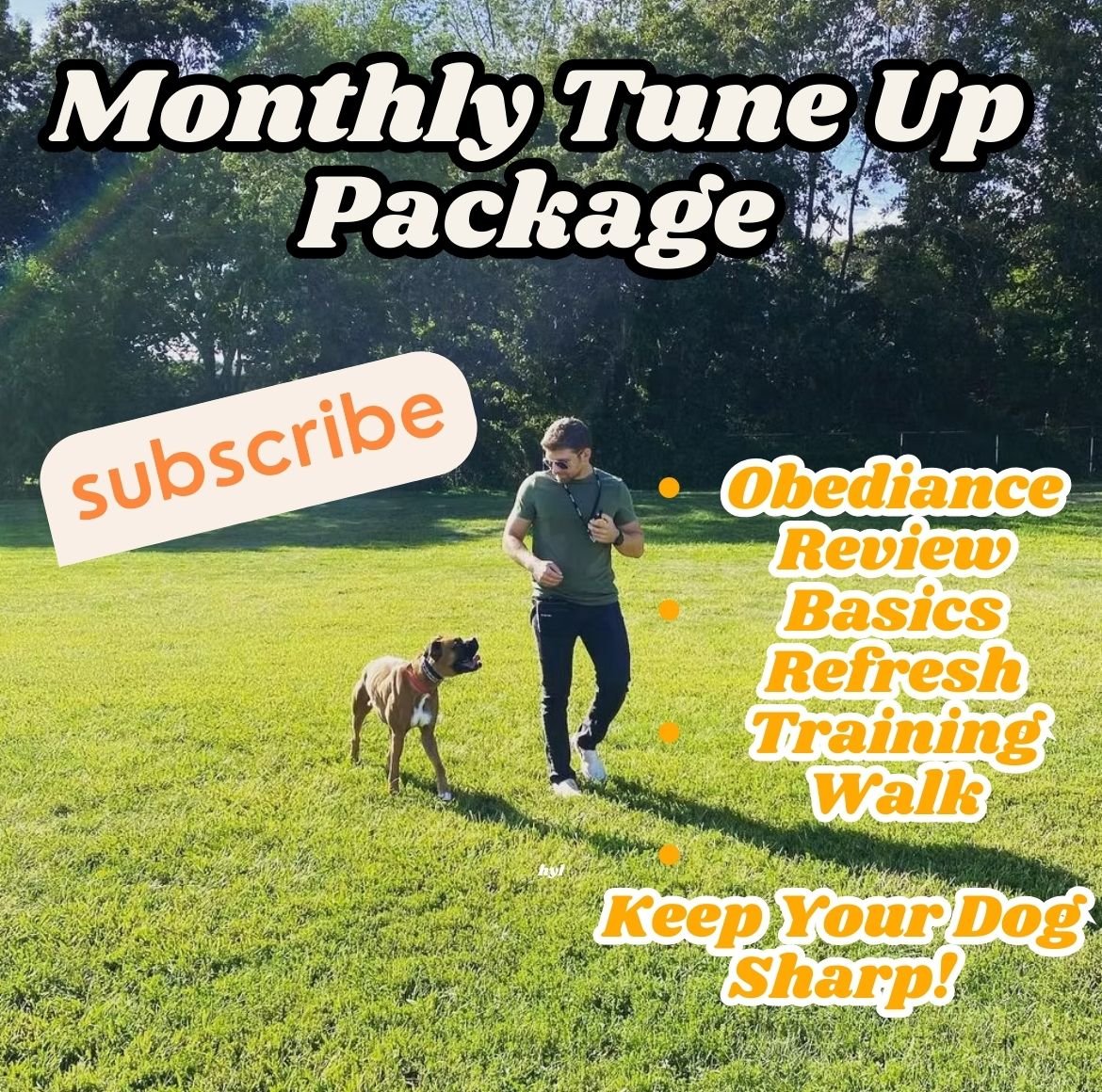 Monthly Tune Up Subscription