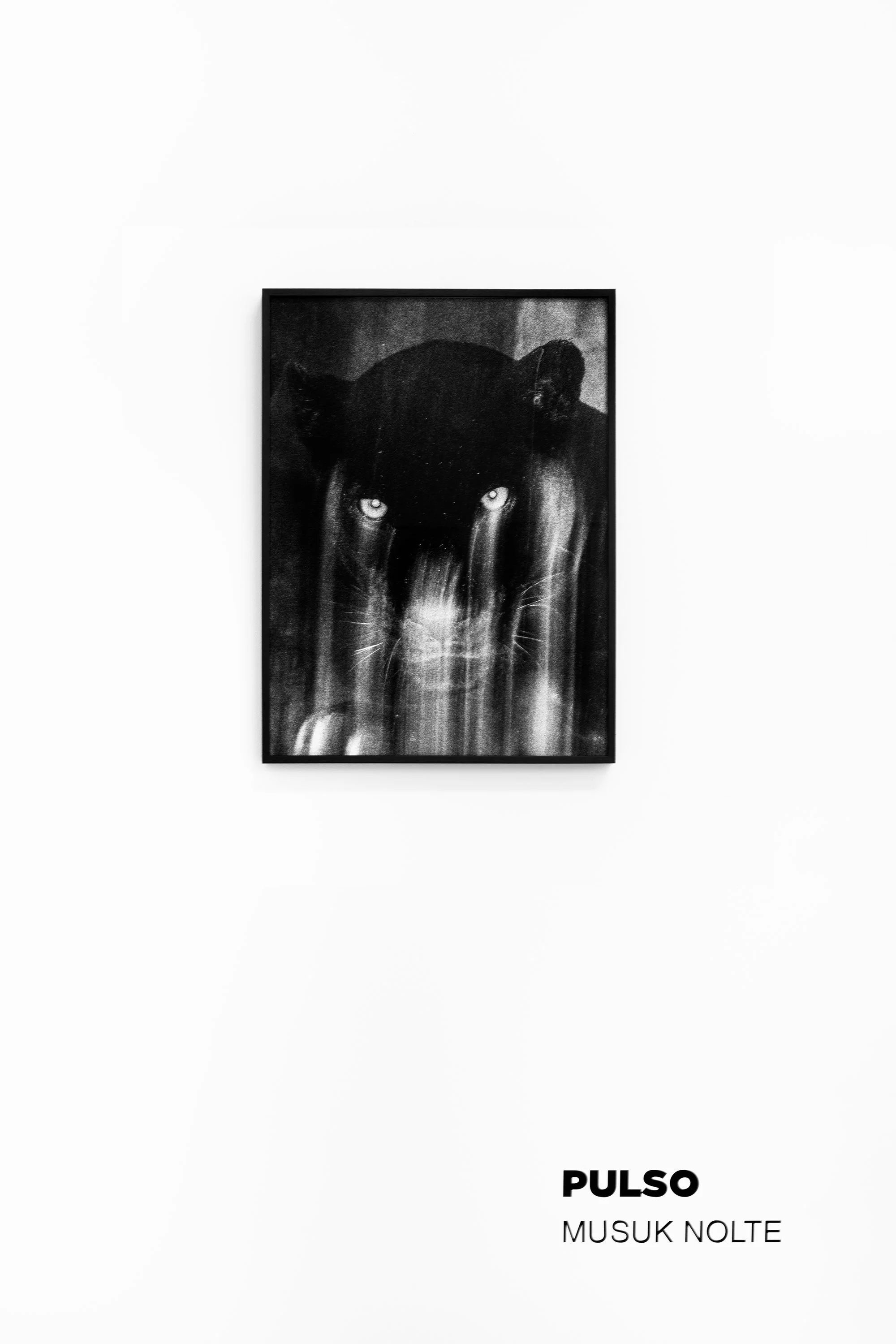 _DSC3710 copia.jpg