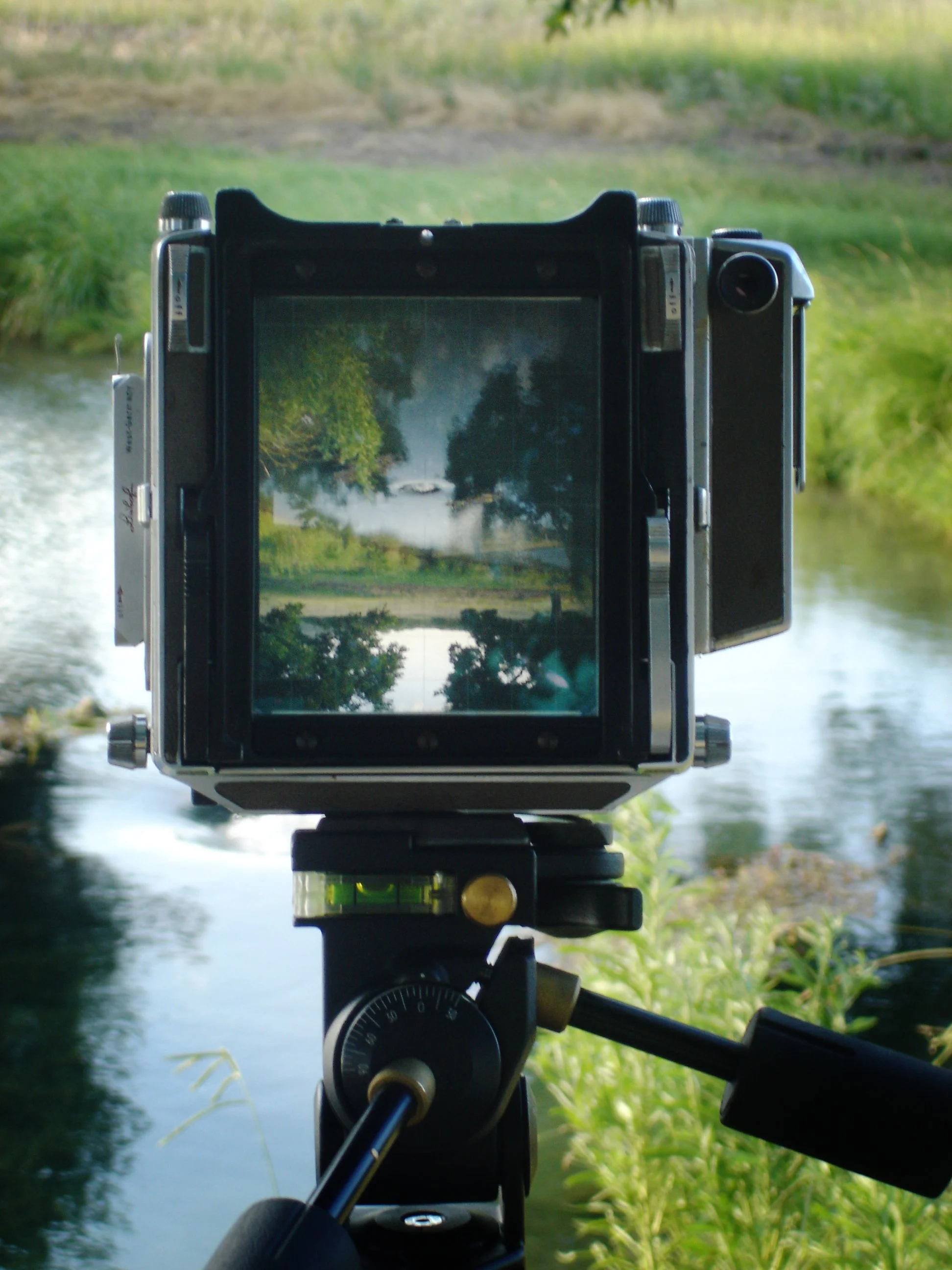 Linhoff Back Texas.jpg