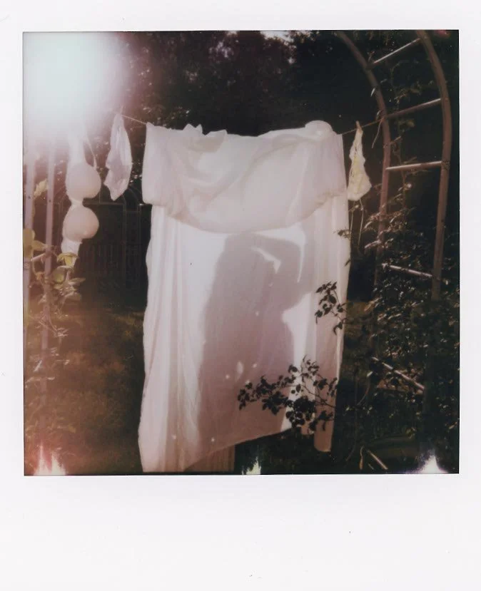 img20250903_20460225 copy.jpg