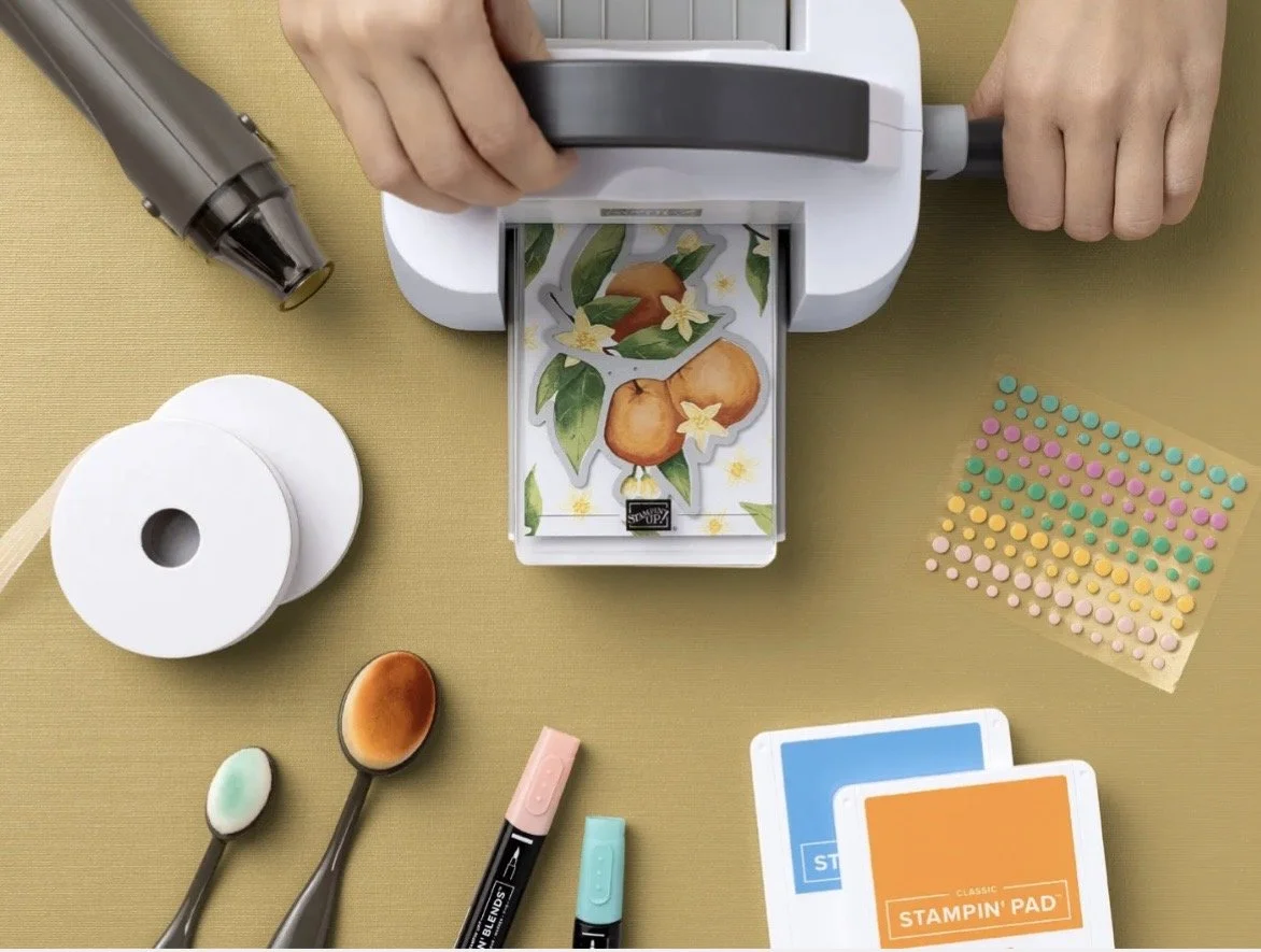 Shop My Online Store