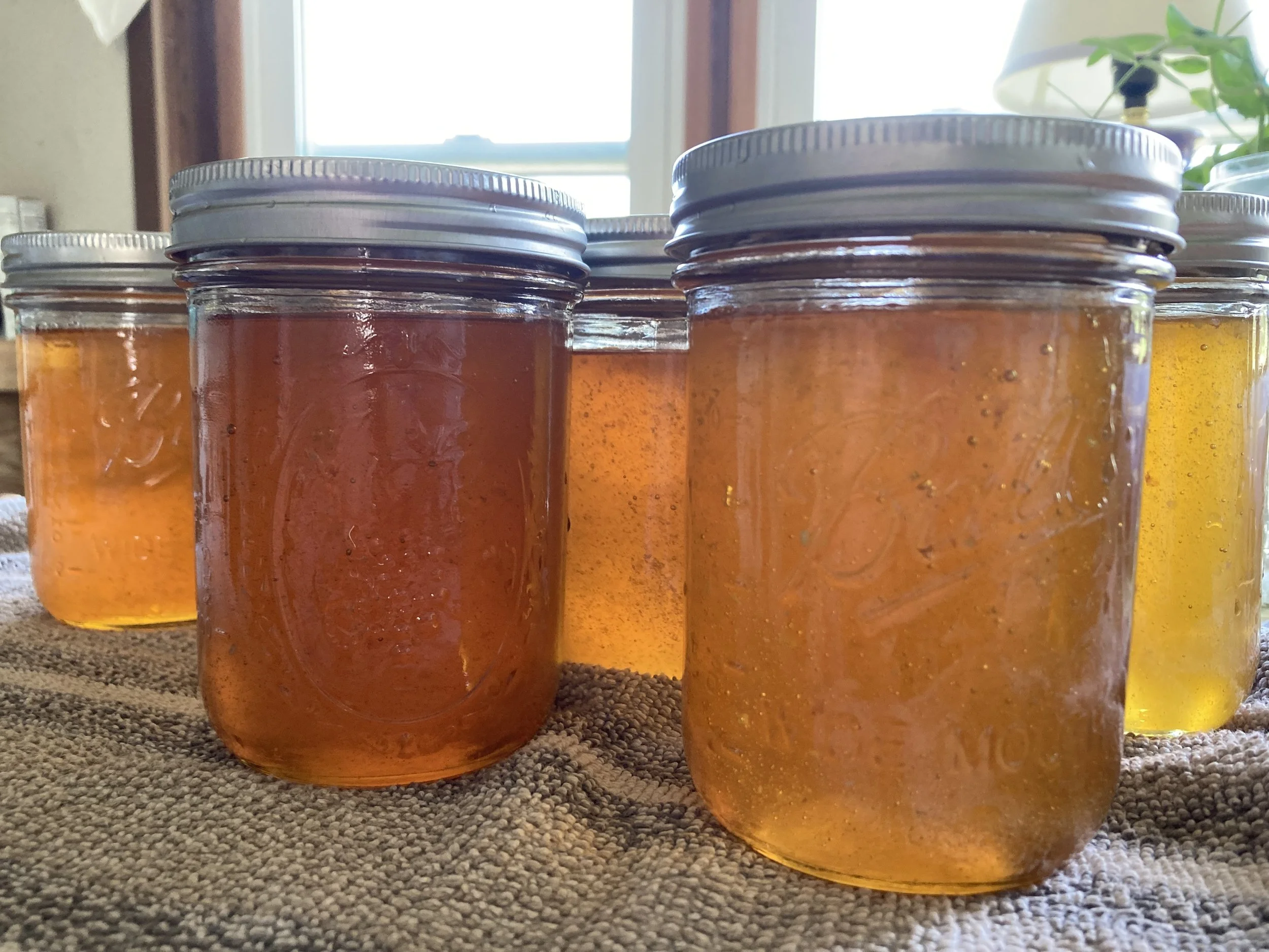 Organic Homestead Honey - 1.5 lb