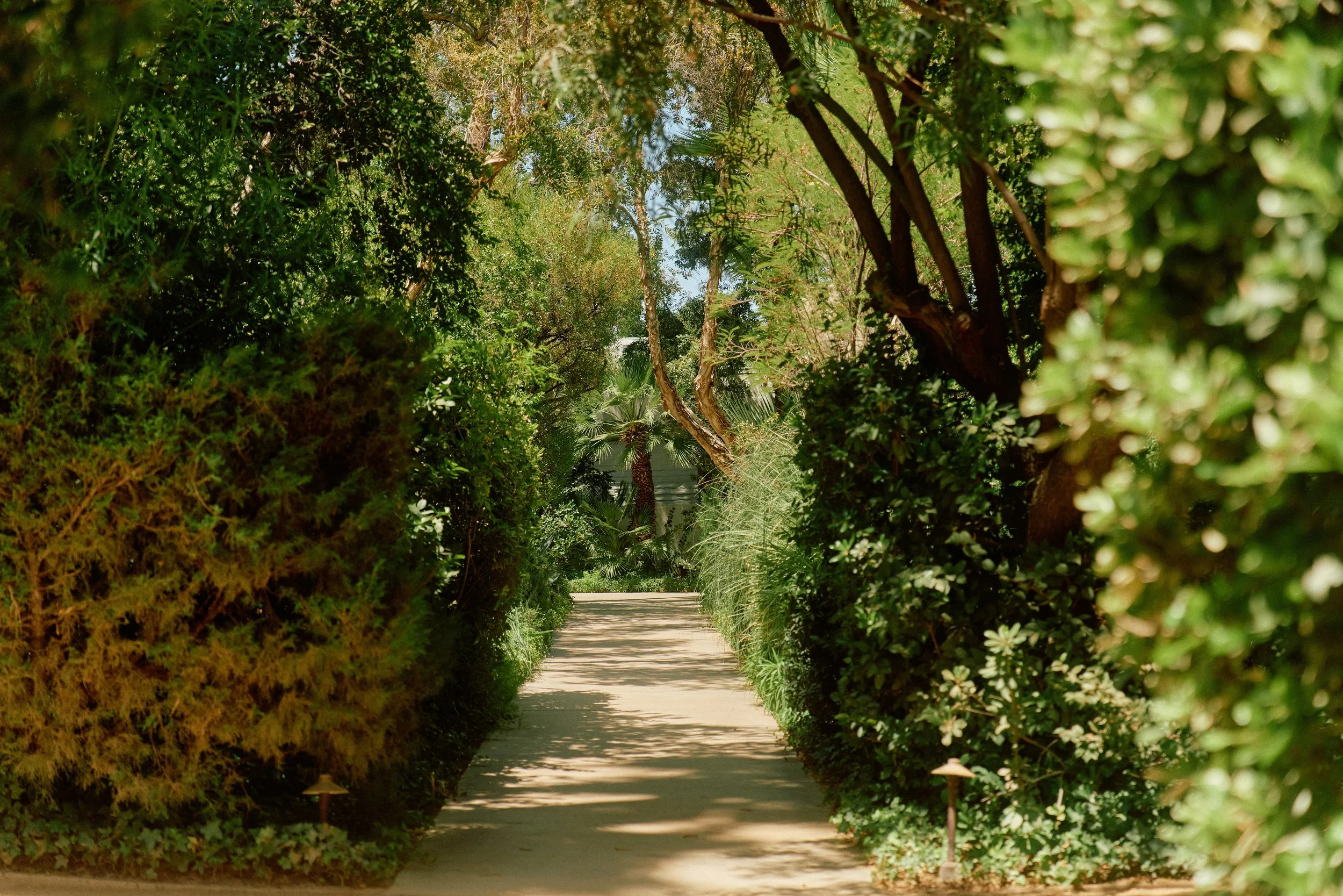 DFOUTS_THE_PARKER_PALM_SPRINGS_HIGH_RES__0058.jpeg