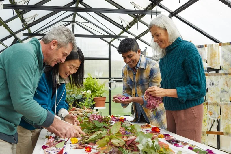 output.auto (20).jpg