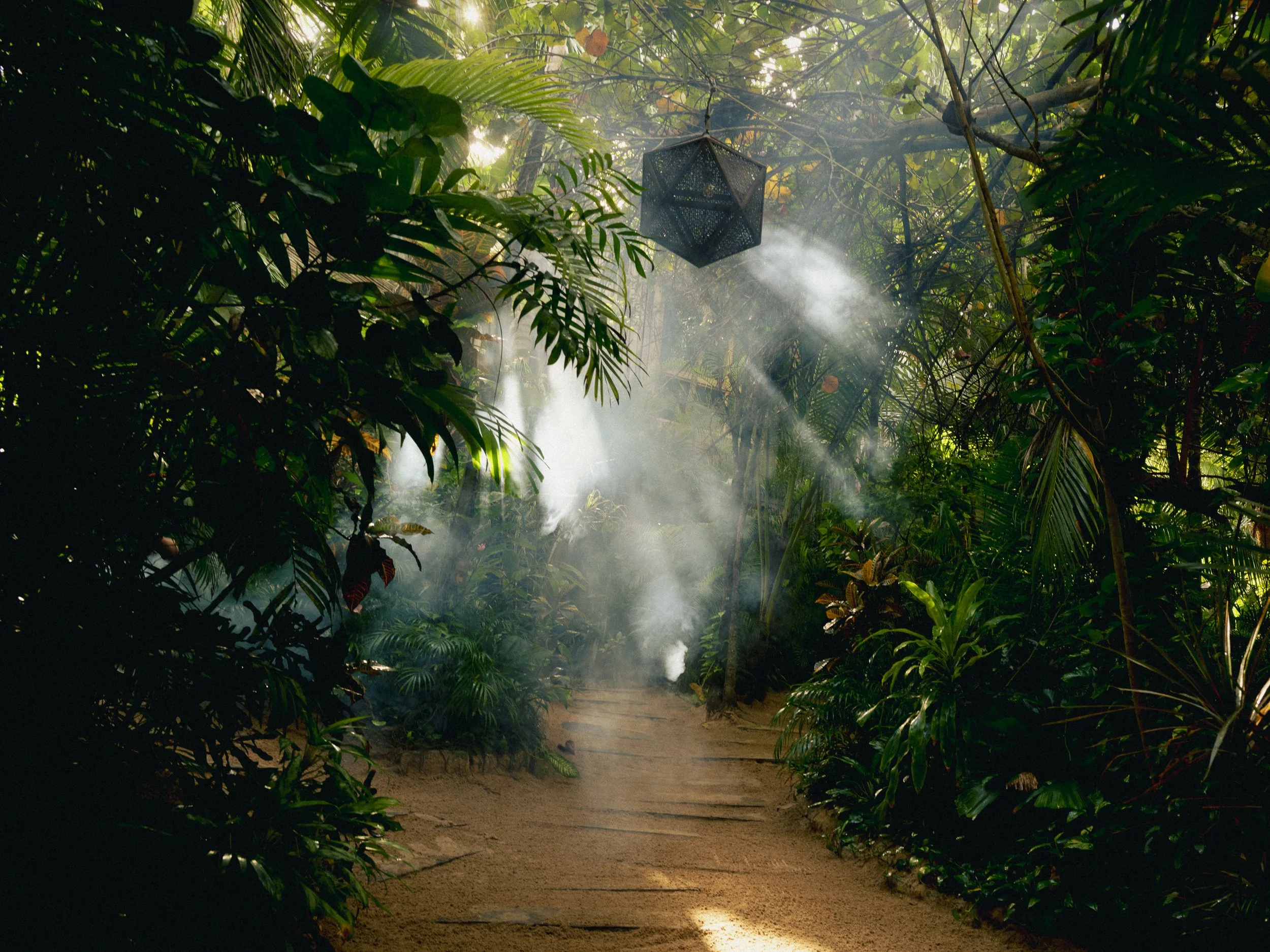 BETULUM2_56624 1.jpg