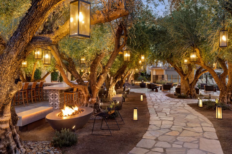 New Olive Grove Patio - 1523284.jpg