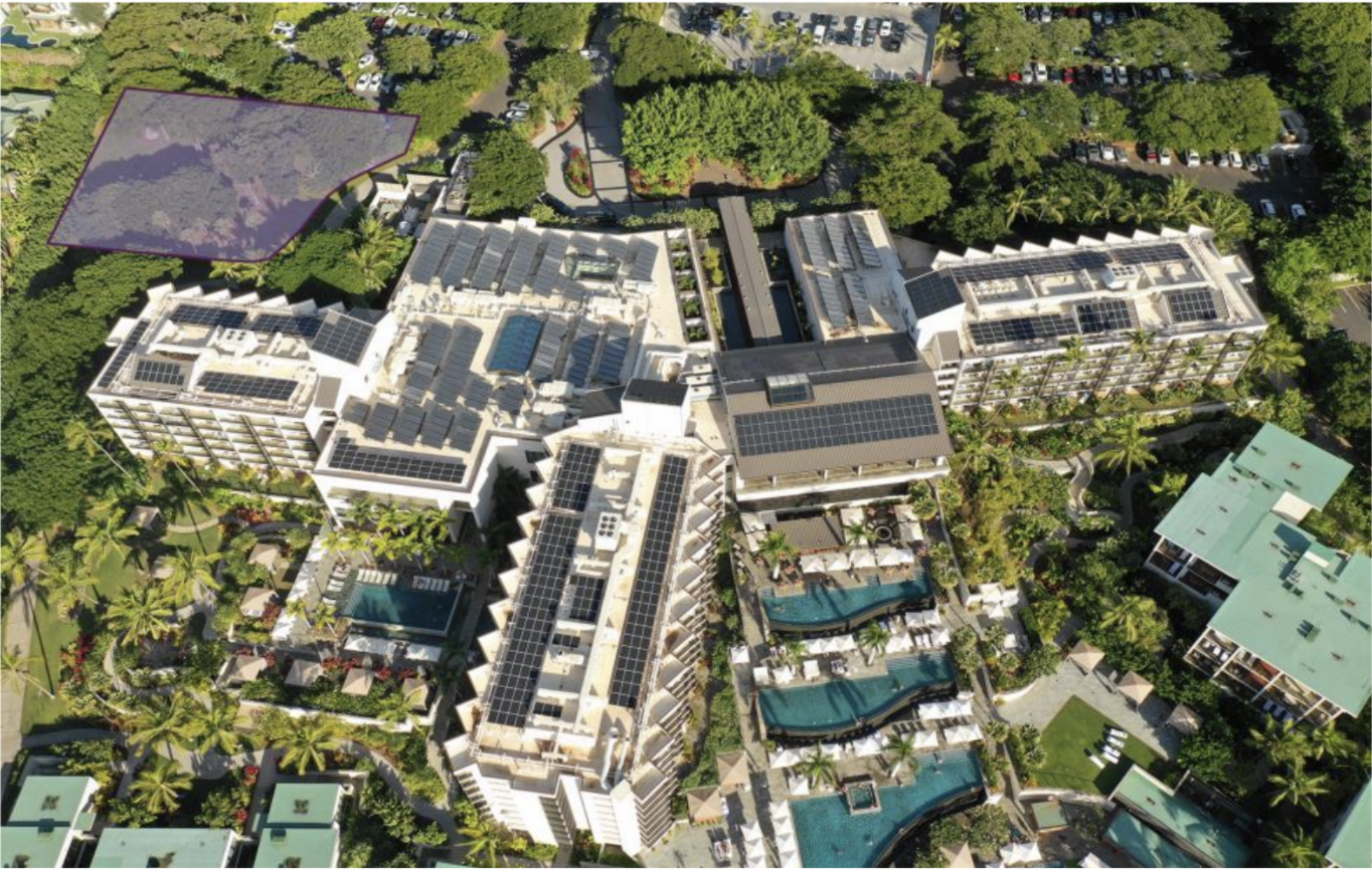 Screen Shot 2021-02-21 at 8.00.35 PM.png