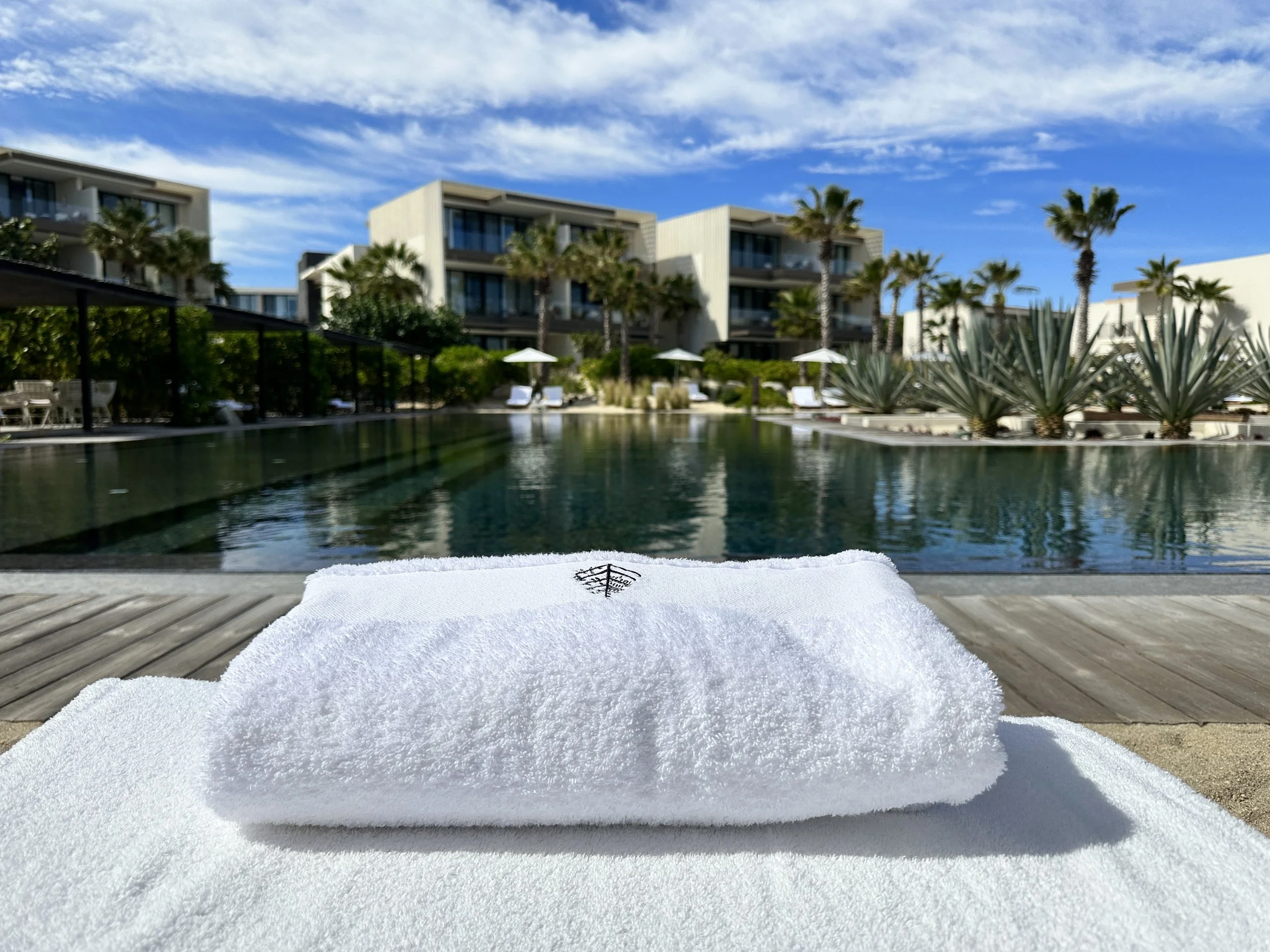 Four Seasons Resort Los Cabos at Costa Palmas Review