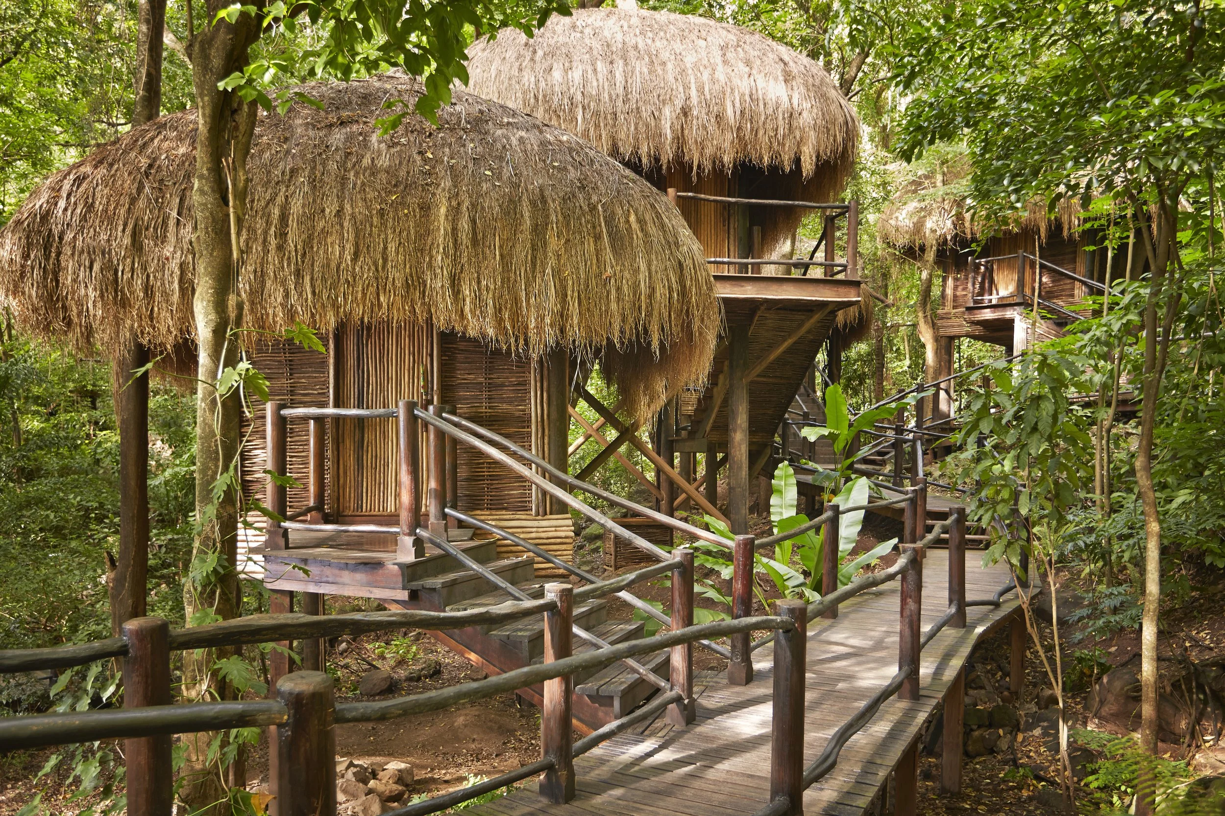 Rainforest Spa 2.jpg