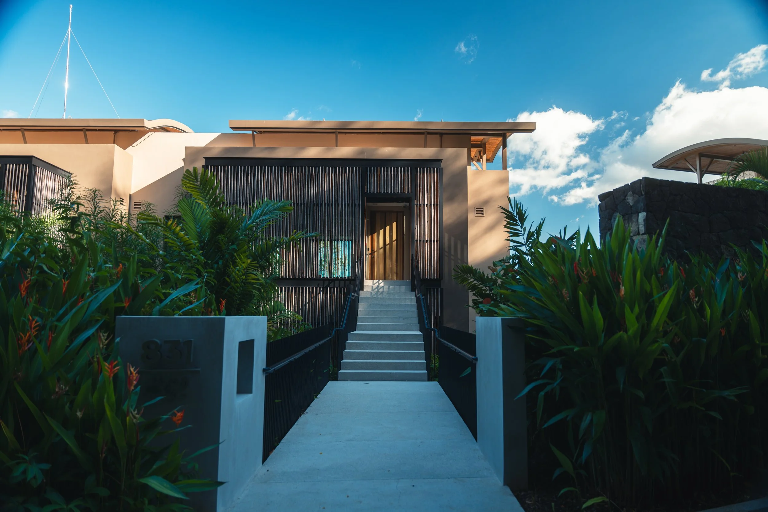 AndazPapagayo.jpeg