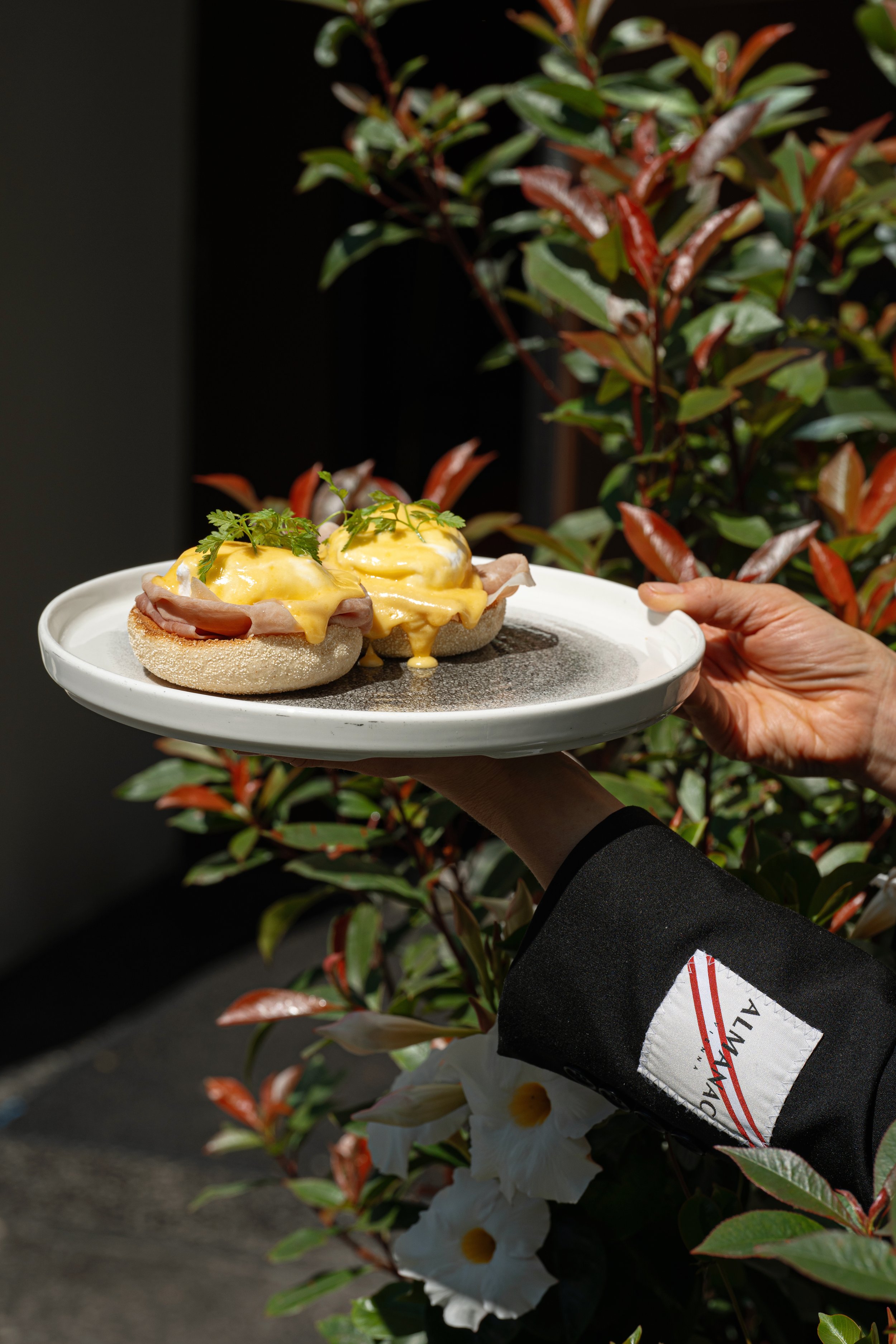 Almanac Palais Vienna_Egg Benedict Signature Breakfast.jpg