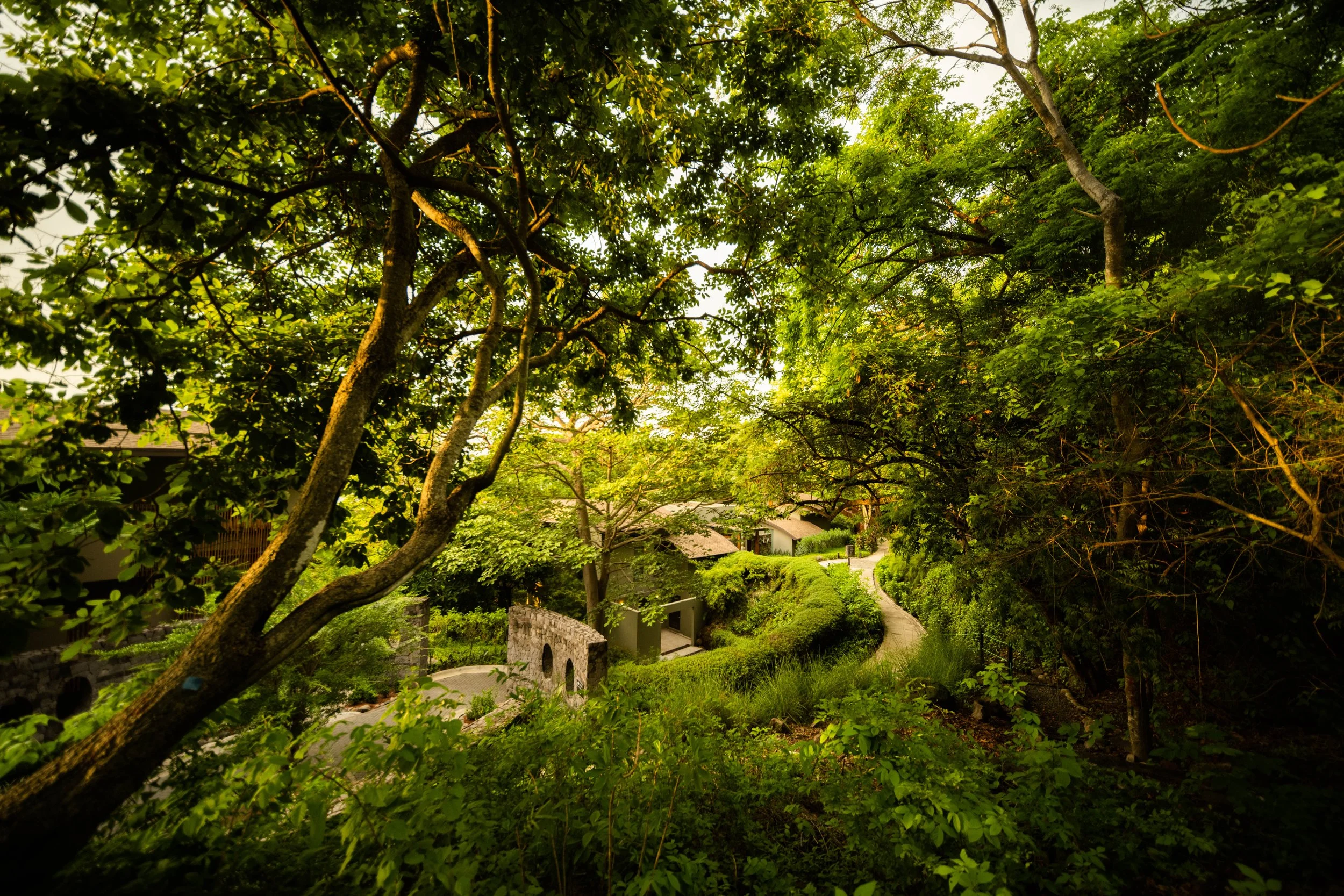 ANDAZ_COSTA_RICA_ONDA_SPA.jpg