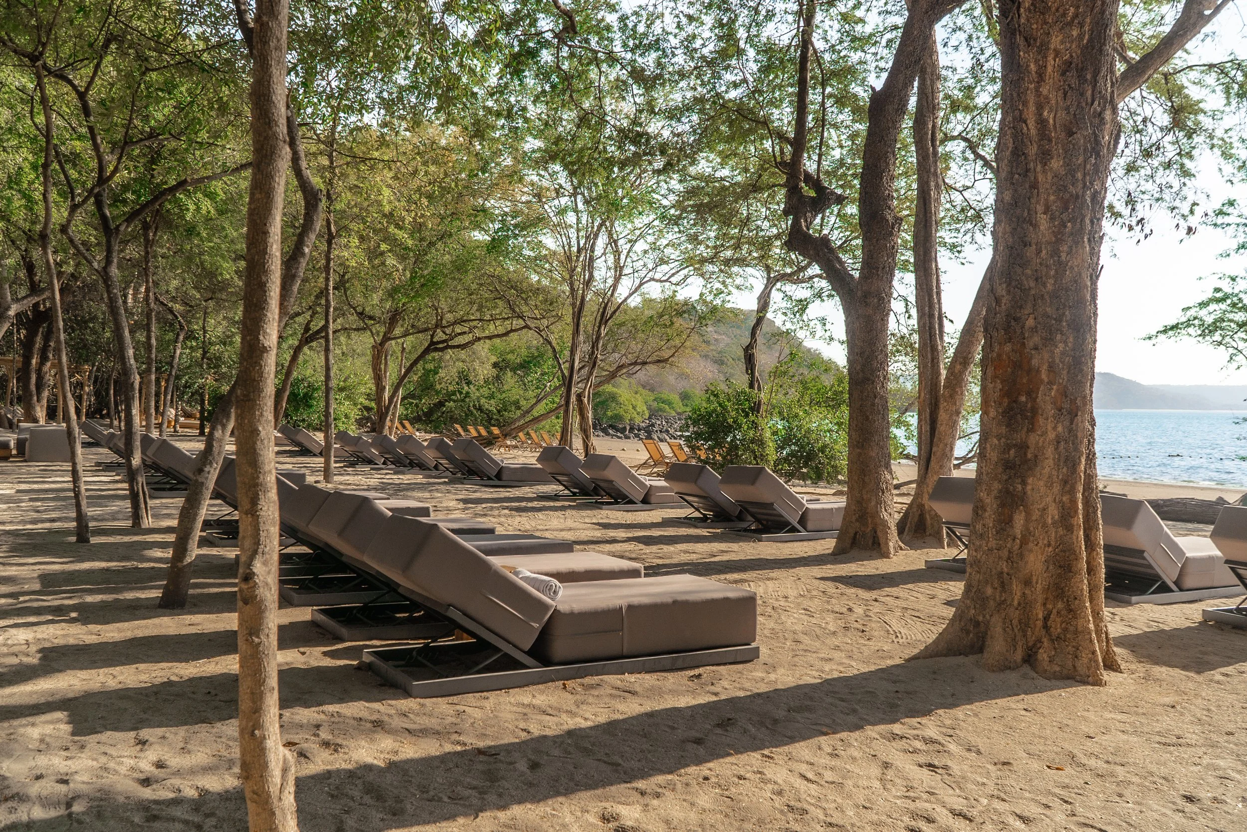 CDP_BEACHCHAIRS.jpg