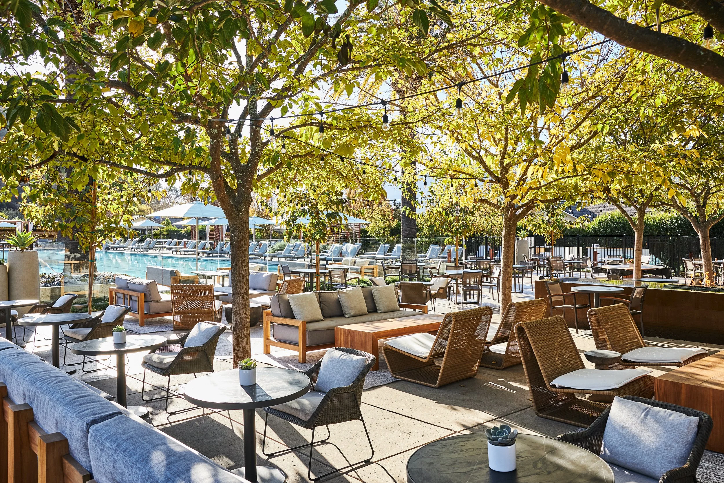 SOL_Dine_Solbar_2020_Solage0523.jpg