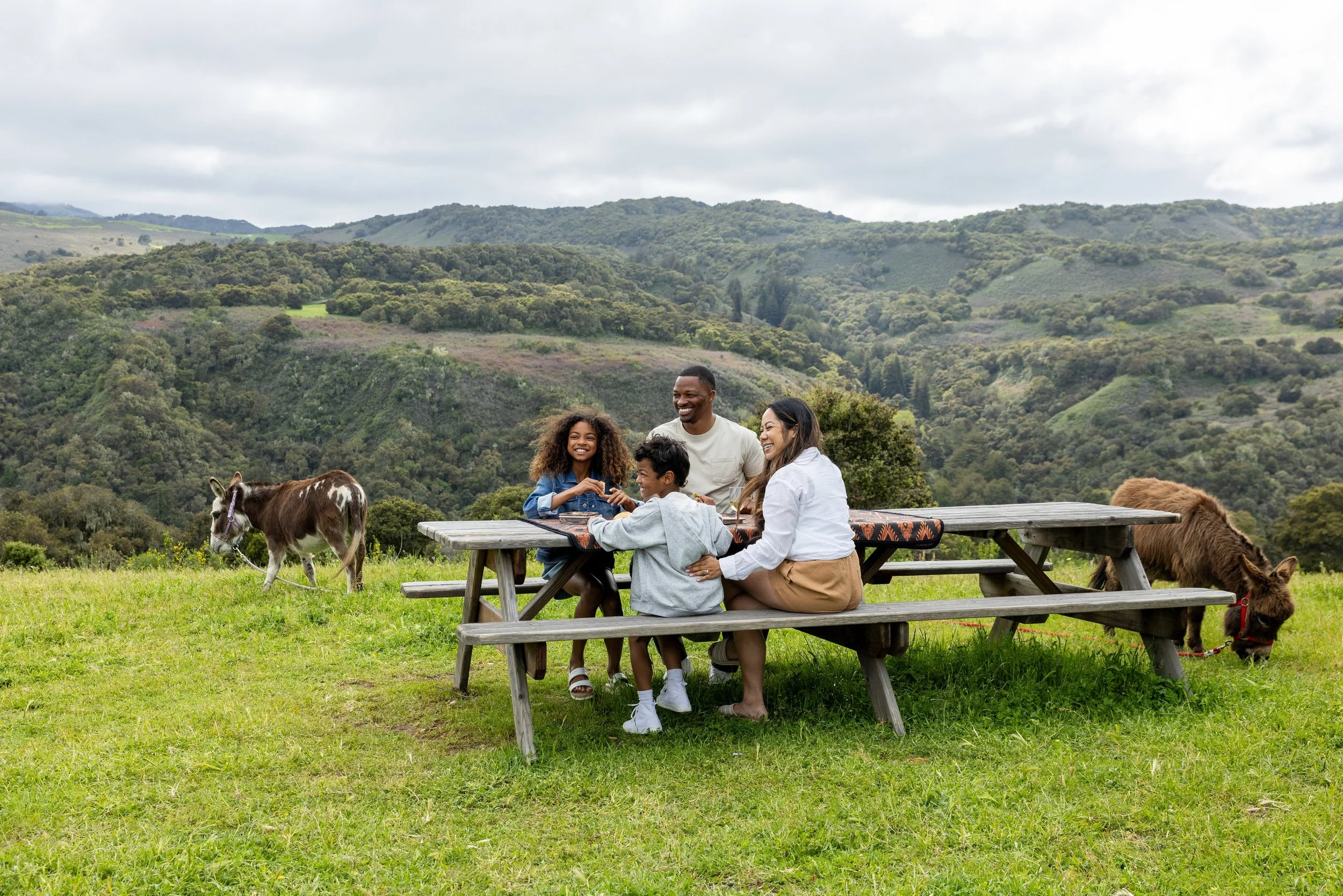 CarmelValleyRanchPicnic.jpeg