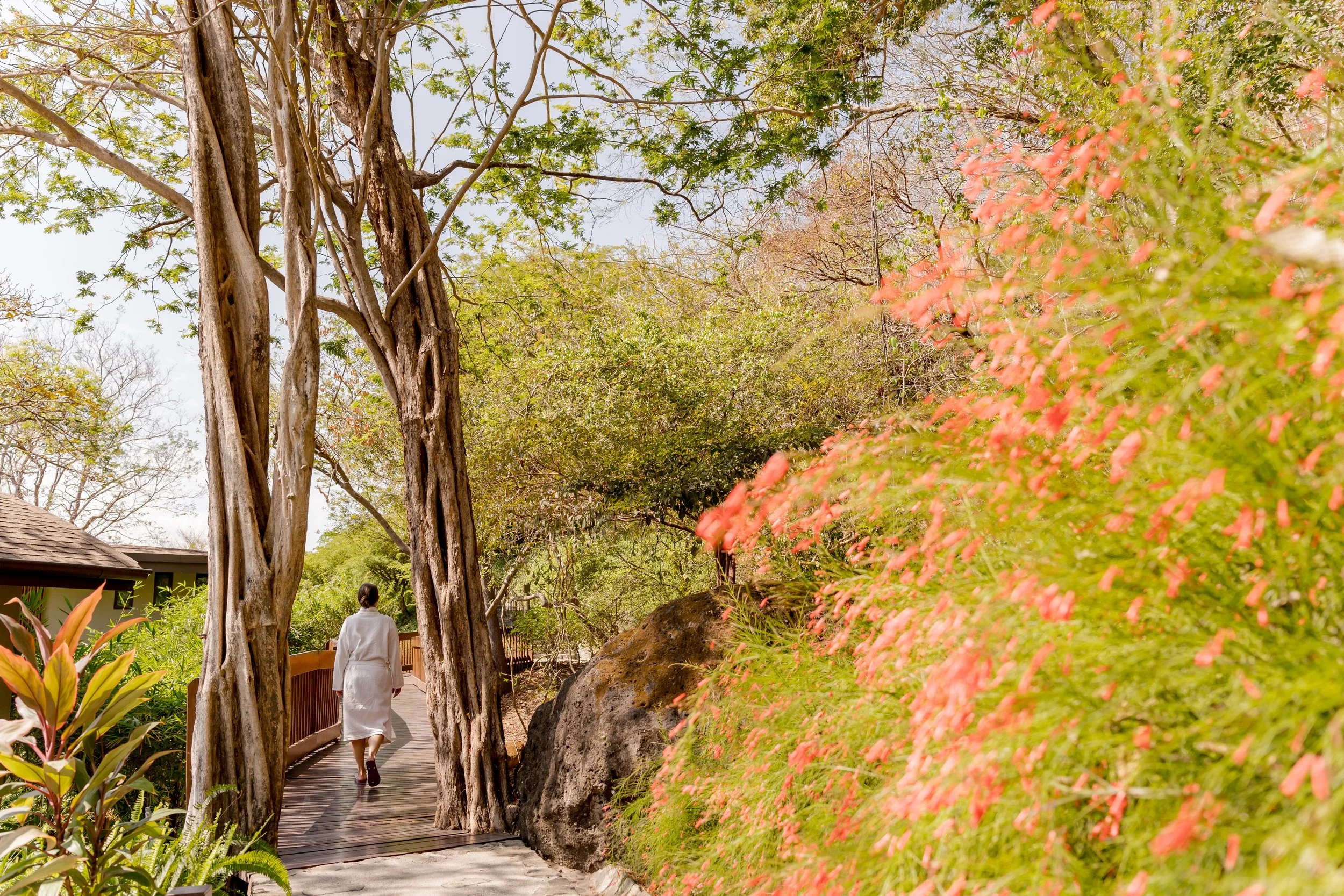 ANDAZ_COSTA_RICA_ONDA_SPA_BRIDGE.jpeg
