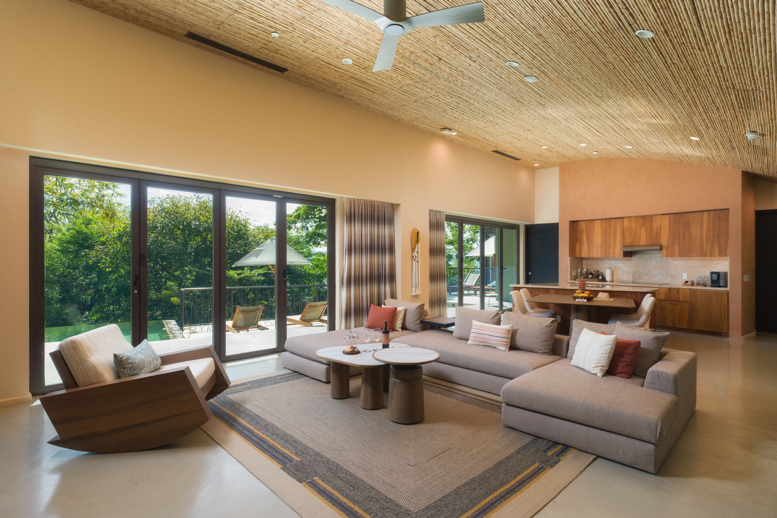 PAPAGAYOPLUNGEPOOLSUITE_LIVINGROOM(1).JPG
