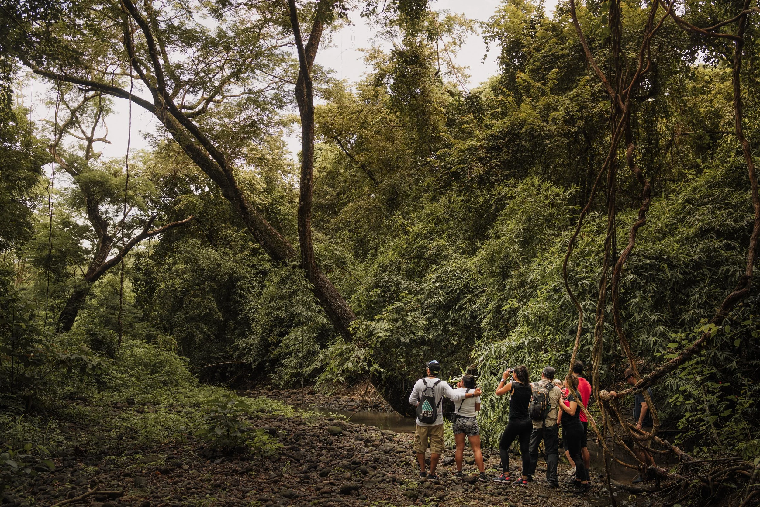ANDAZ_COSTA_RICA_ACTIVITIES_HIKING_TRAILS.jpeg