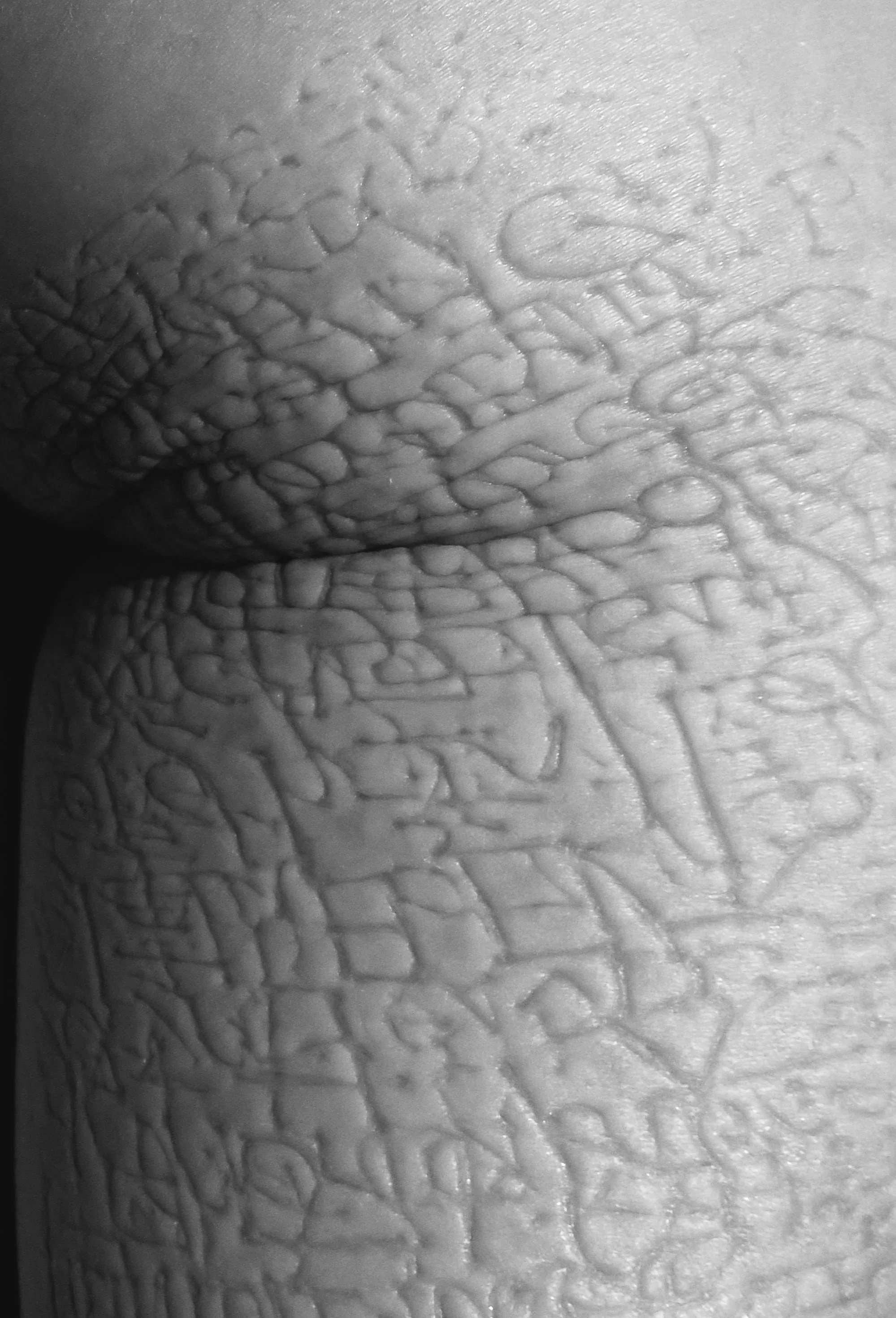 A Body Twice Inscribed
