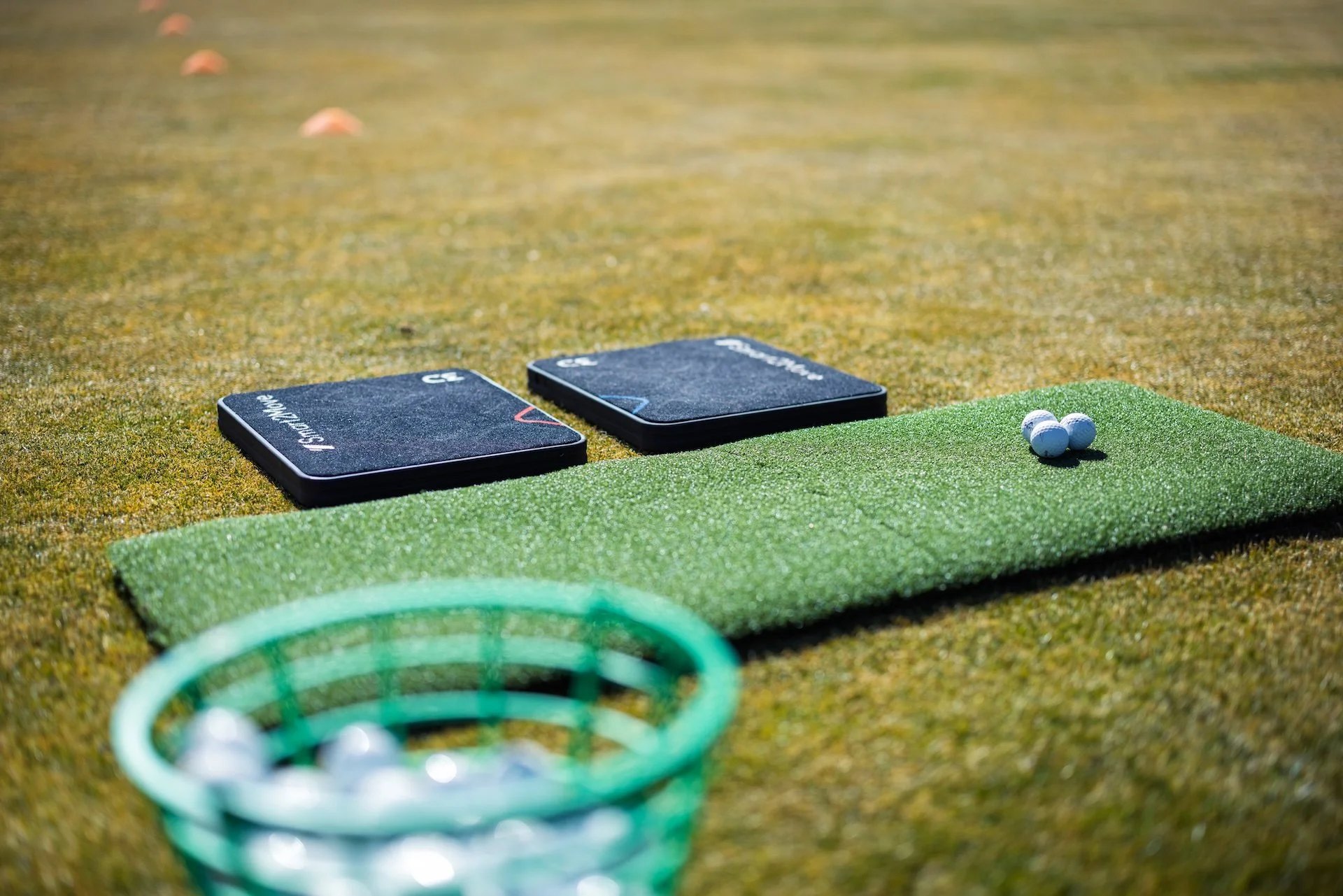 Steve Photo 1-6.jpeg