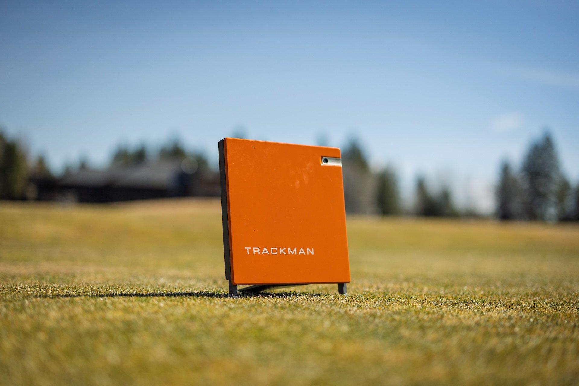 Steve Photo 1-10.jpeg