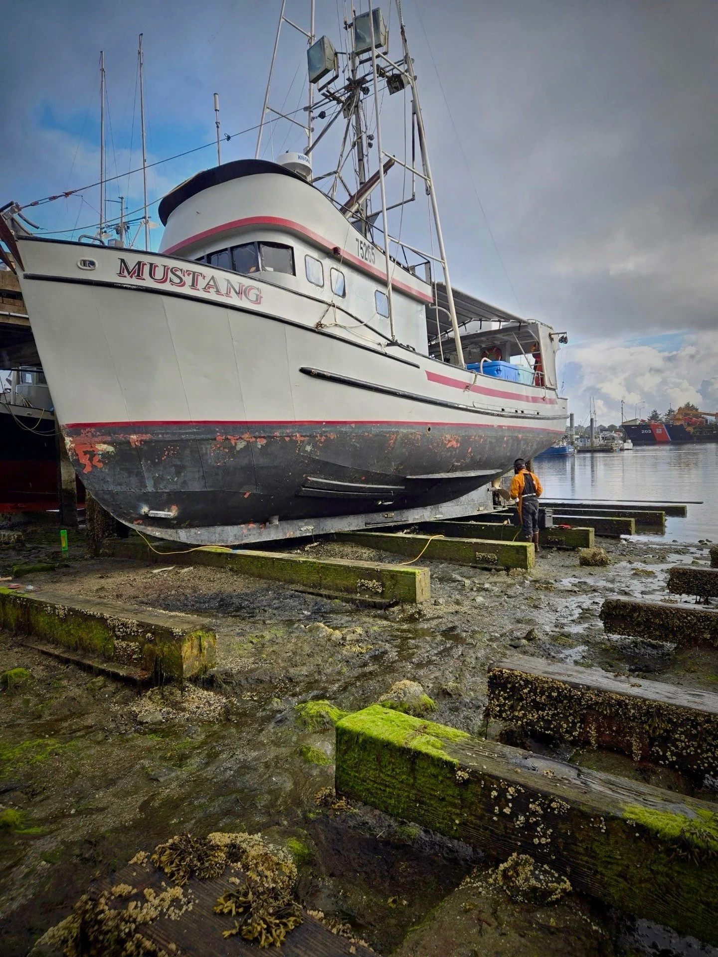 The Mustang its pretty on the Grid in Sitka during a Fall haulout. 