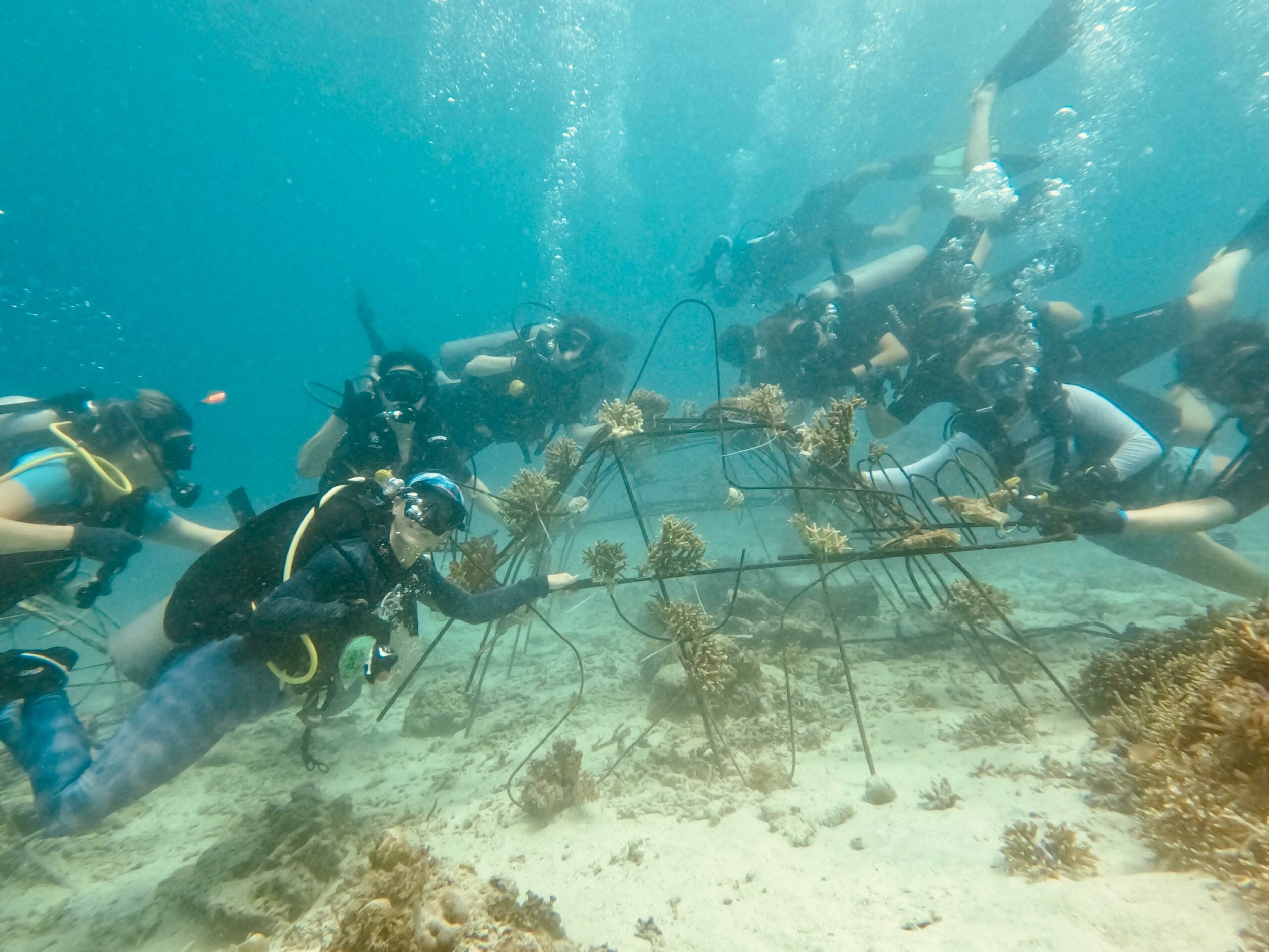 Gili Reef Guardians (Gili Air)