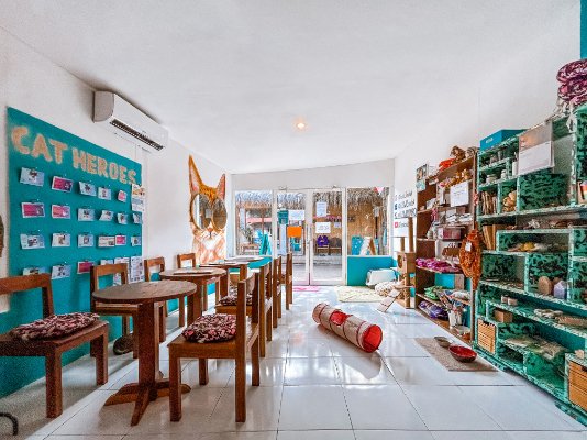 Interior of a pet store with a blue wall display titled 'Cat Heroes', wooden tables and chairs, shelves filled with pet supplies, and a cat tunnel on the floor.
