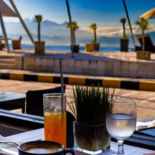 A table with a glass of orange juice, a glass of water, and a potted plant, with a beach and palm trees in the background