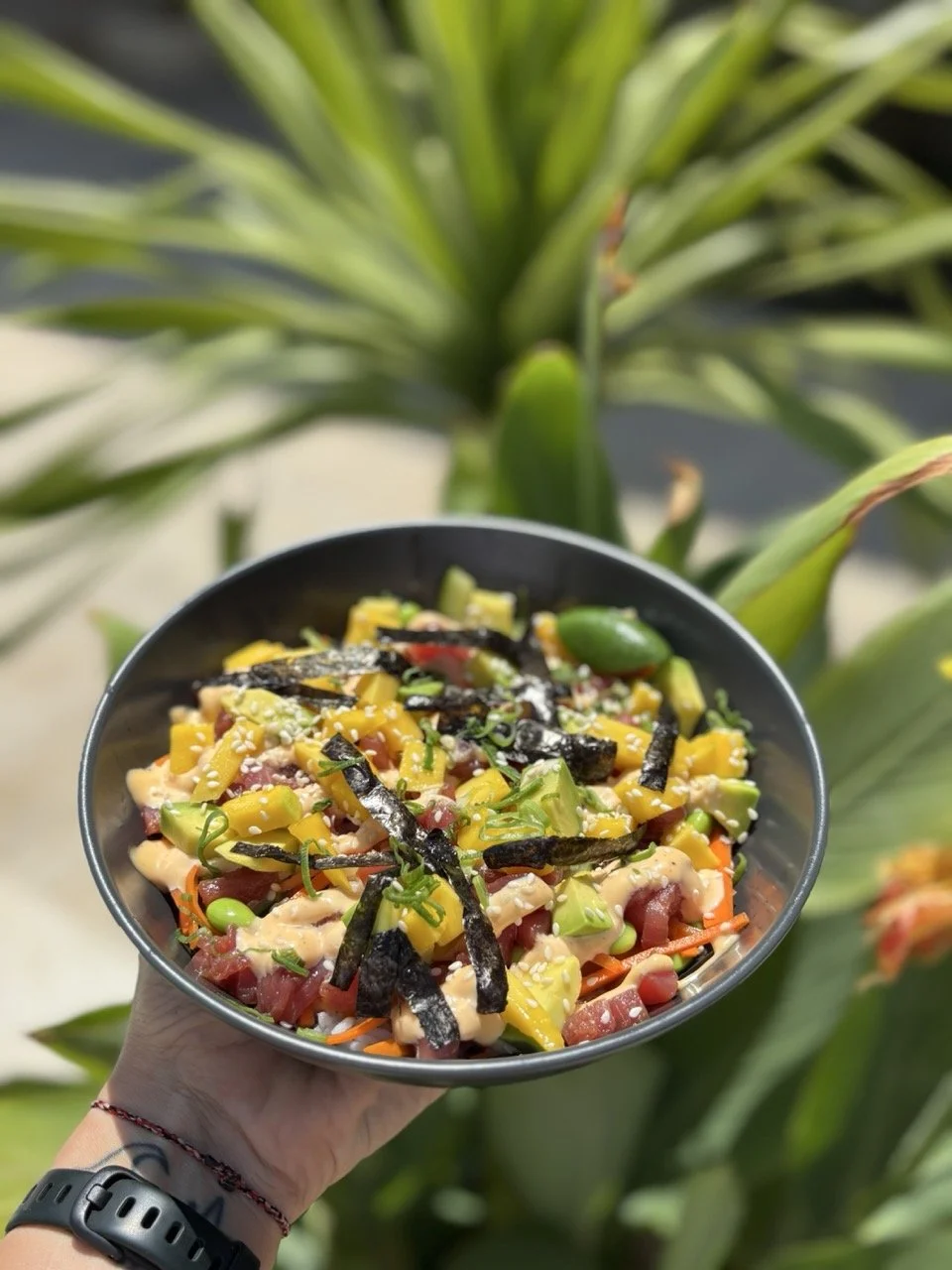 A hand holding a black bowl of poke salad topped with seaweed, sesame seeds, and vegetables, with a large green leafy plant in the background.