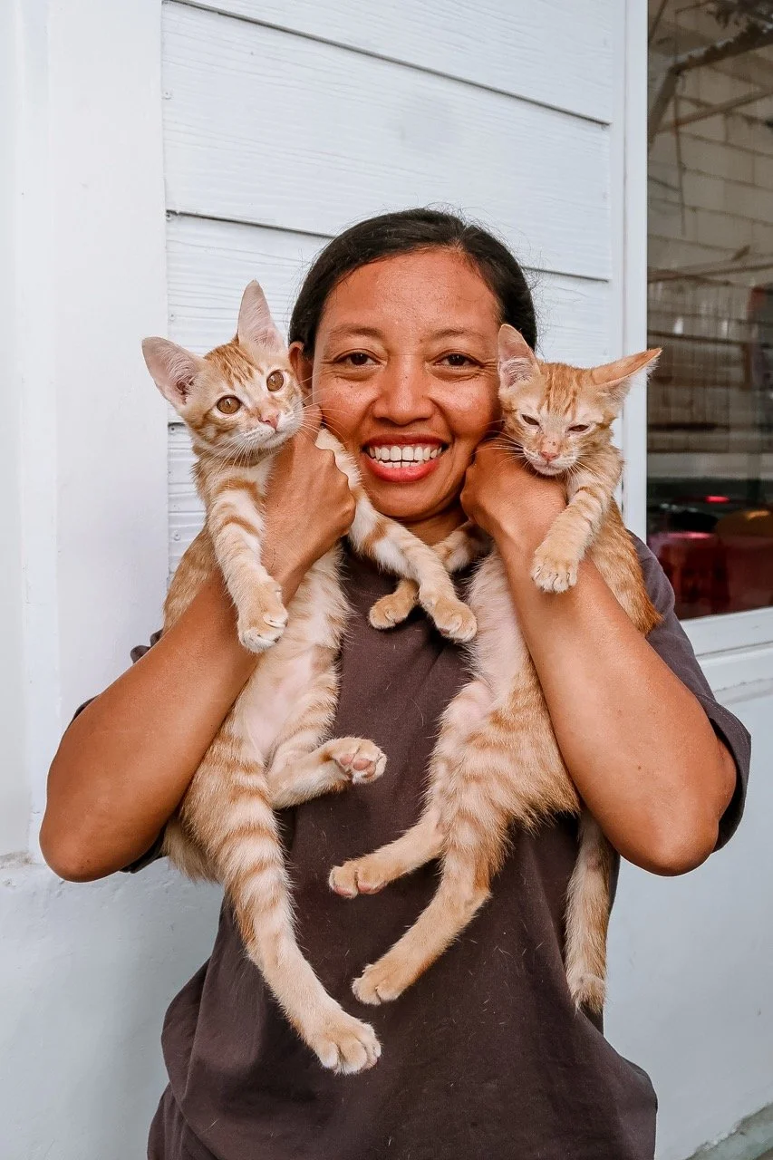 LUNI Cat Clinics (Gili Meno)