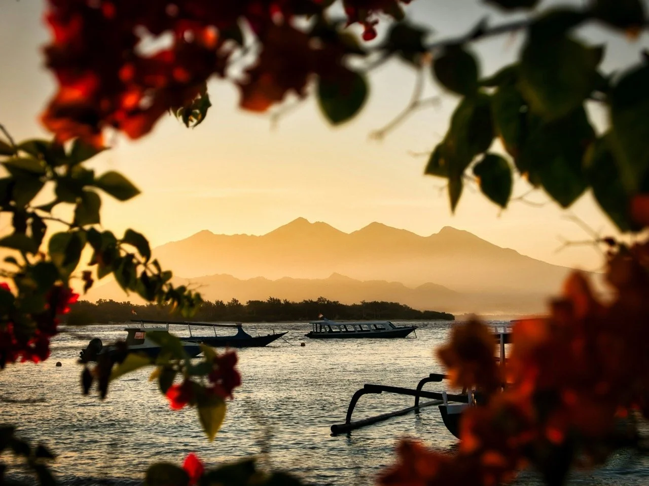 Sunset over a lake with boats, framed by reddish flowers and green leaves, mountain in background.